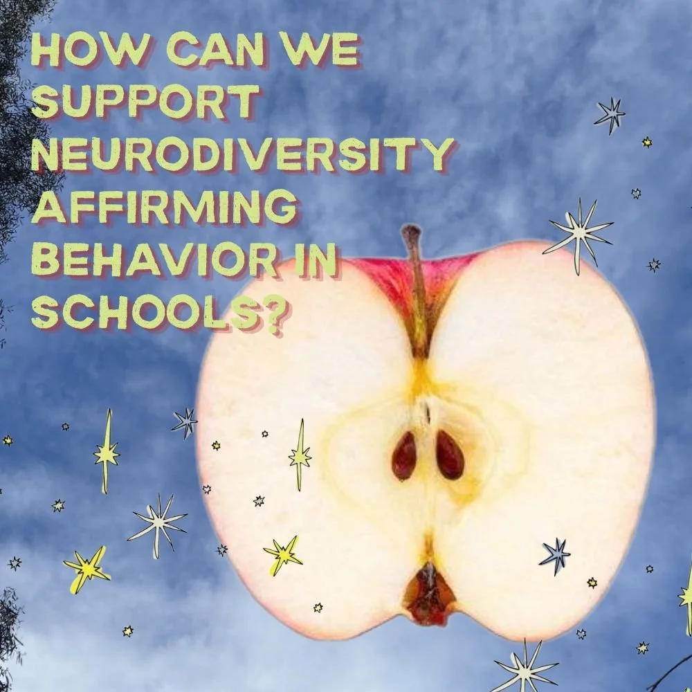 Neurodiversity-Affirming Behaviour Support in Schools