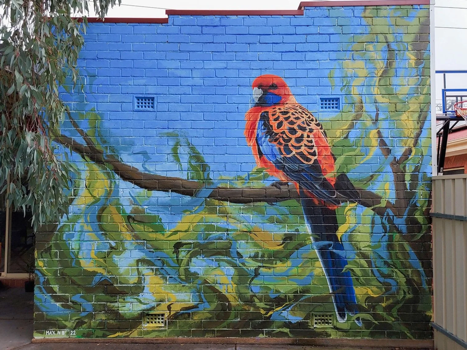 Backyard Rosella small.jpg