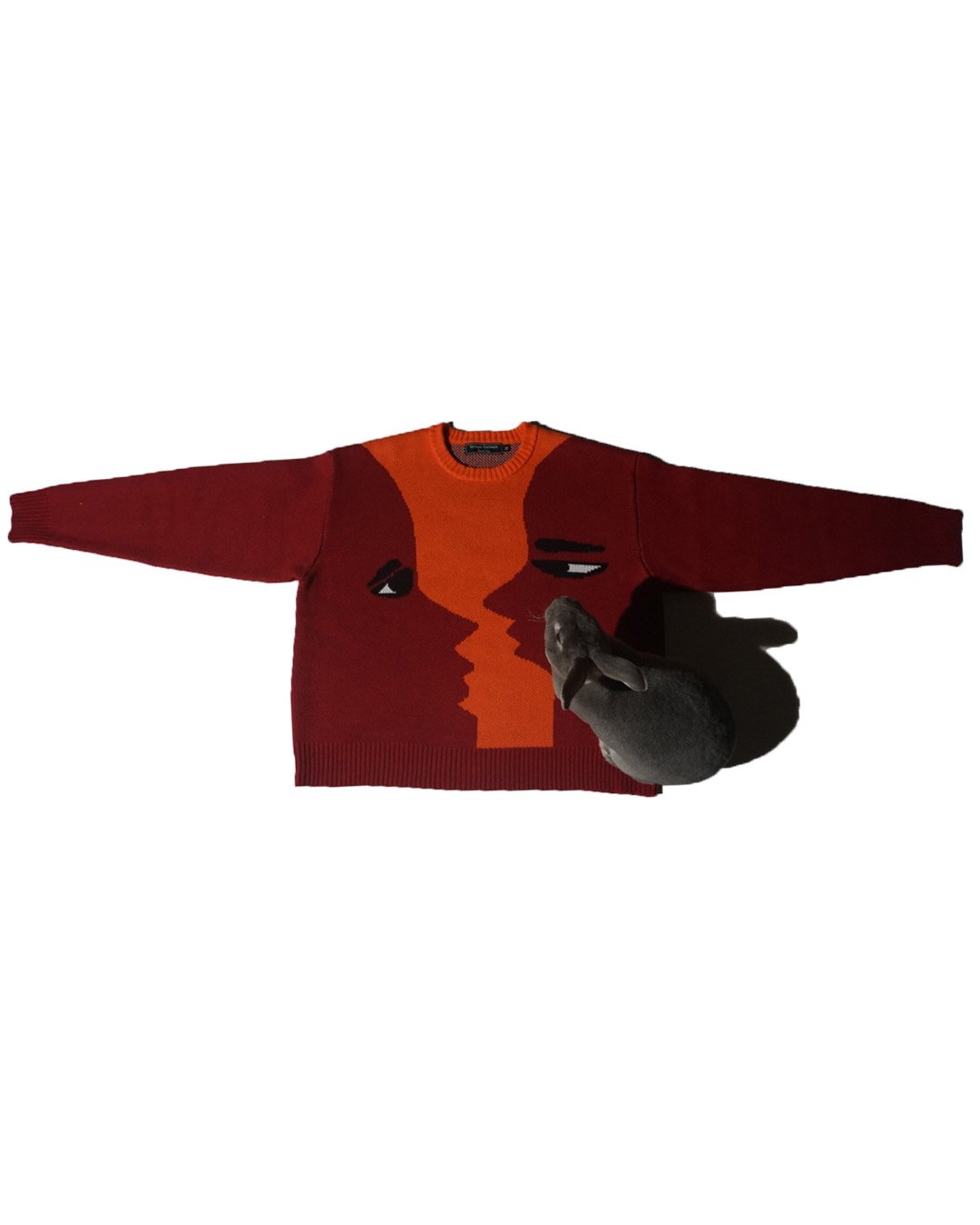 SWEATER BUNNY.jpg