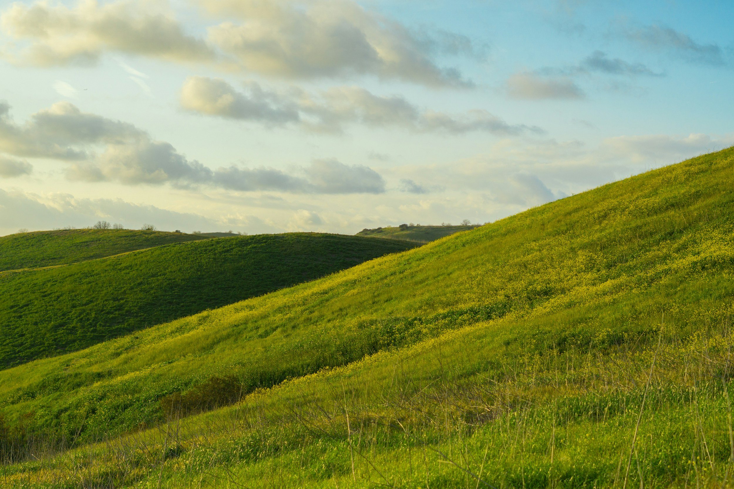 Healthy by Design: Using Low-Toxic Materials in Your Passivhaus for a Truly Sustainable Home