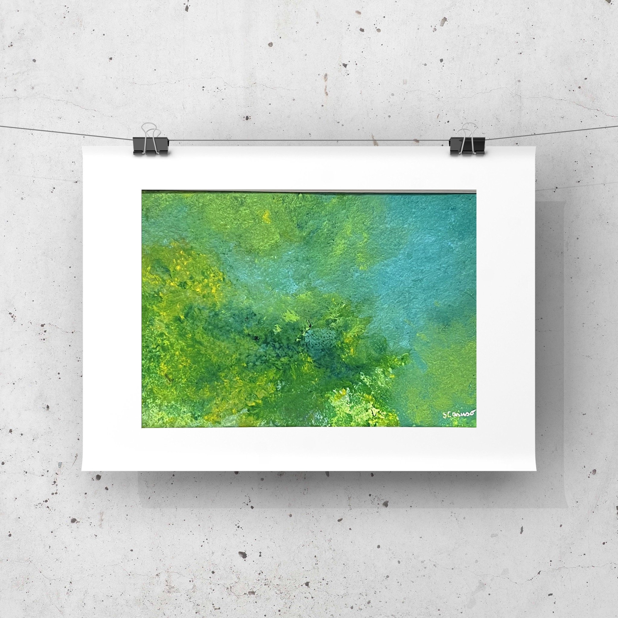 Creek Shallows