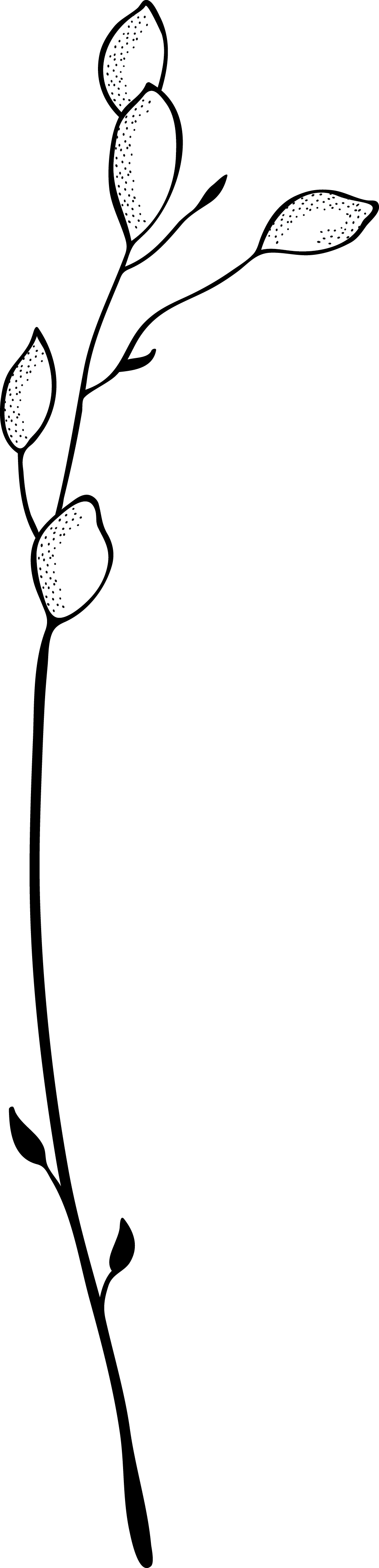 Black background with white abstract shapes resembling leaves or petals, some with dotted shading.