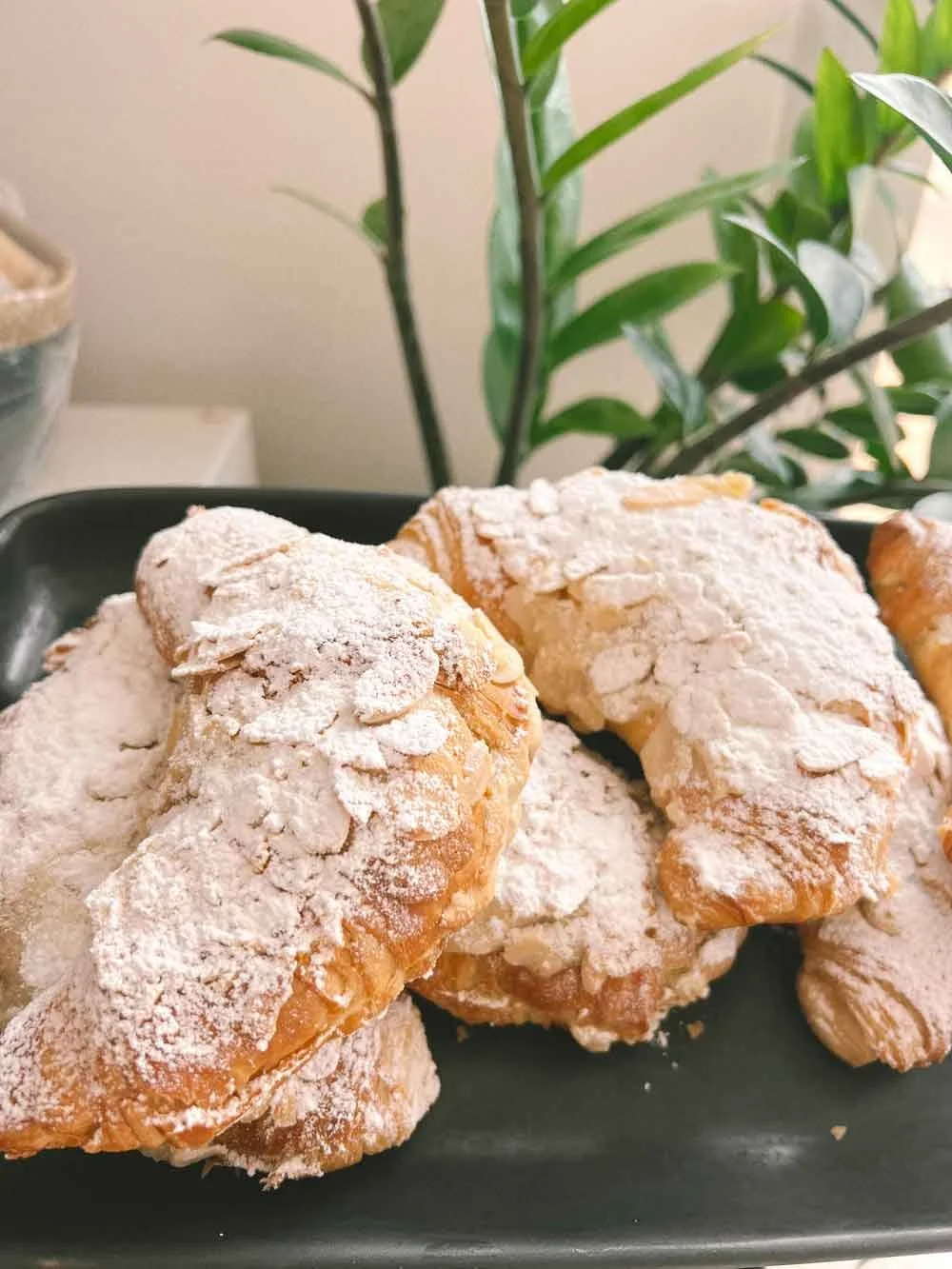 Close-up of almond croissants dusted with powdered sugar on a black tray, with green plant leaves in the background.