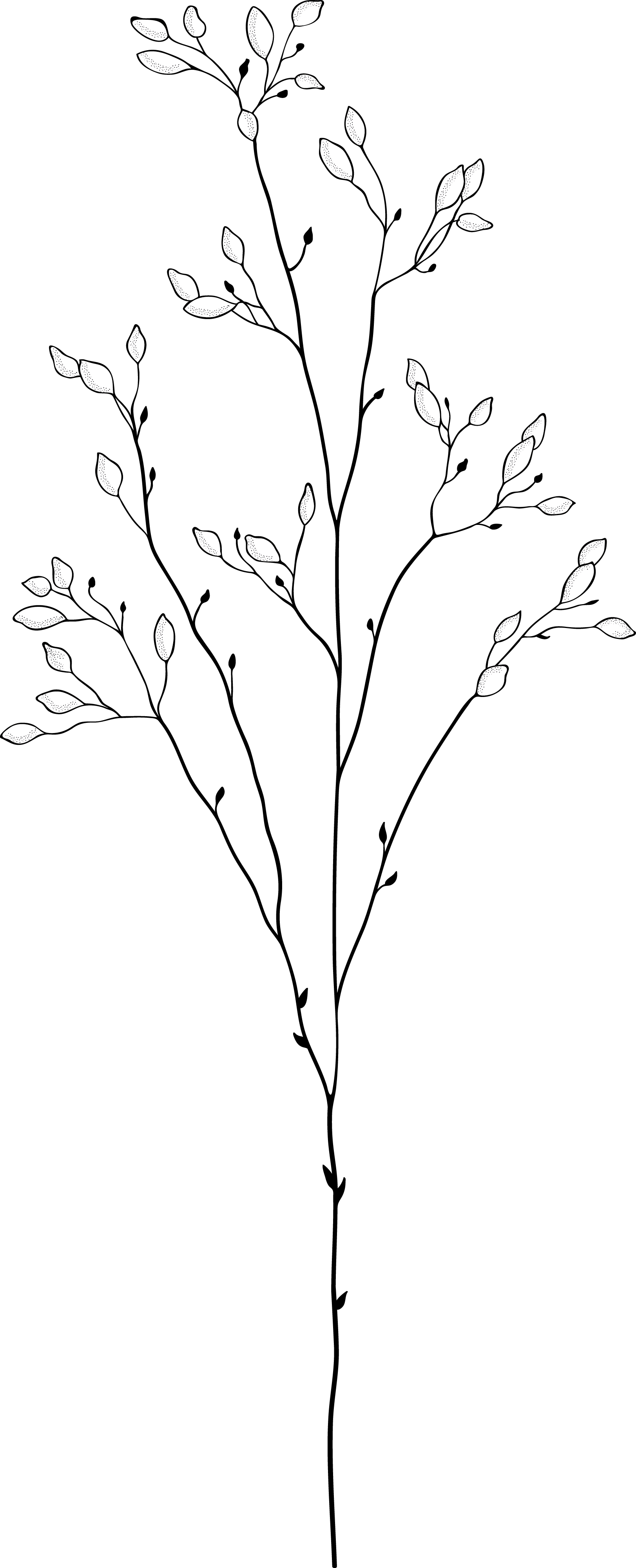 Black background with white leaves scattered across the top and middle sections.