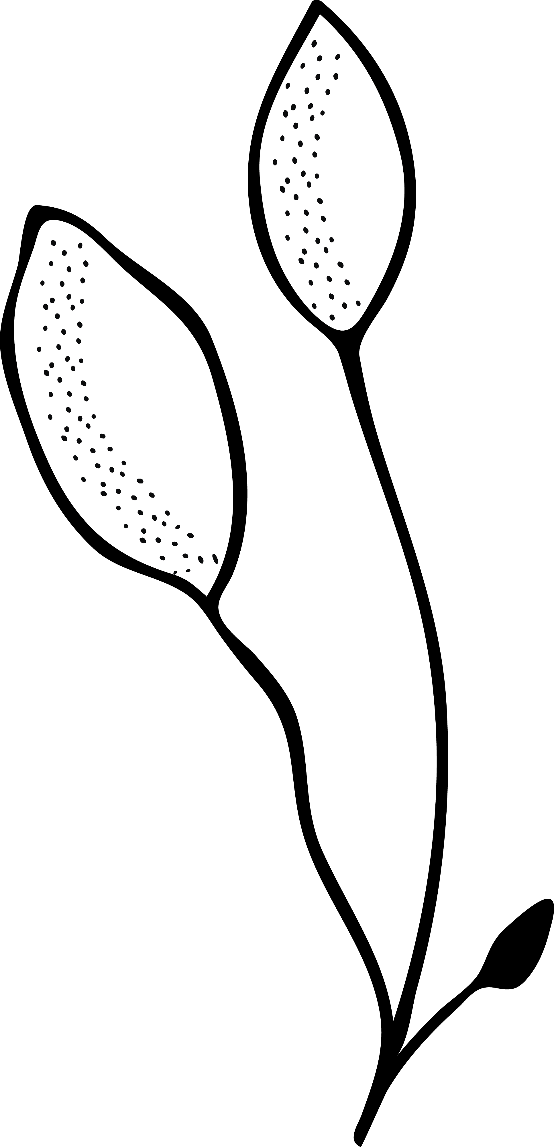 Black and white illustration of a bird perched on a branch with leaves.
