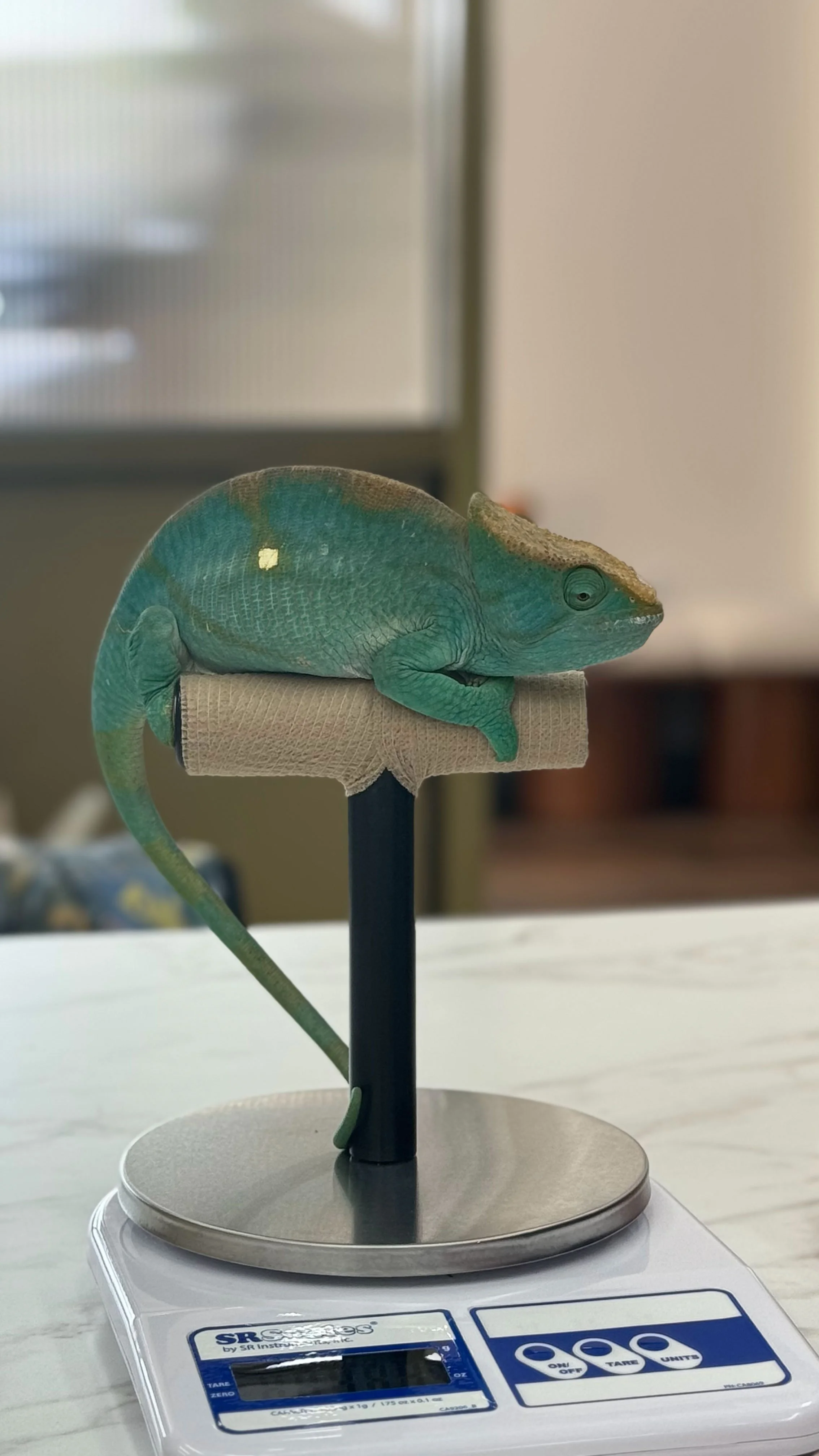 Loss of perching or balance