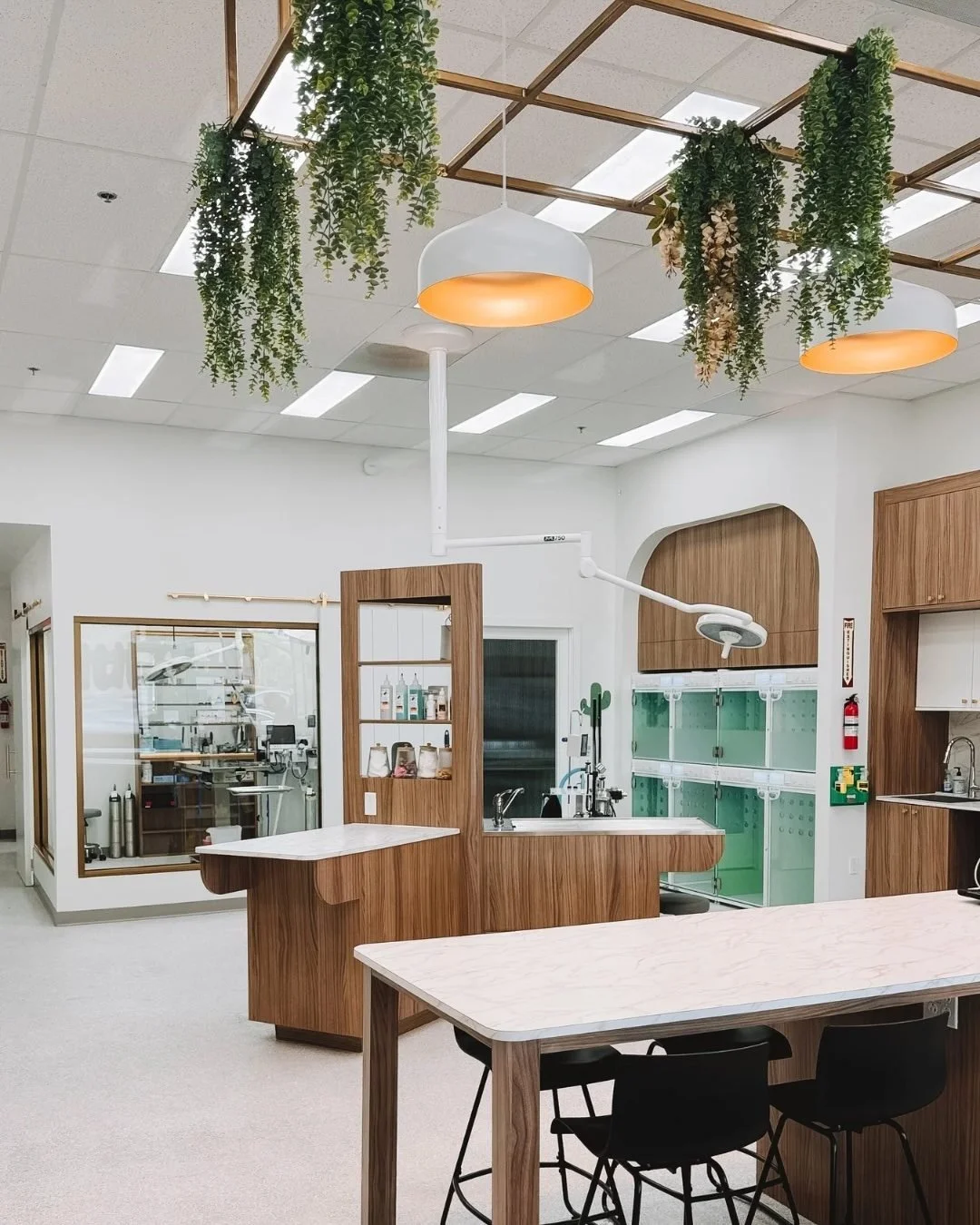 Fauna Vet Collective Surgical Treatment Area