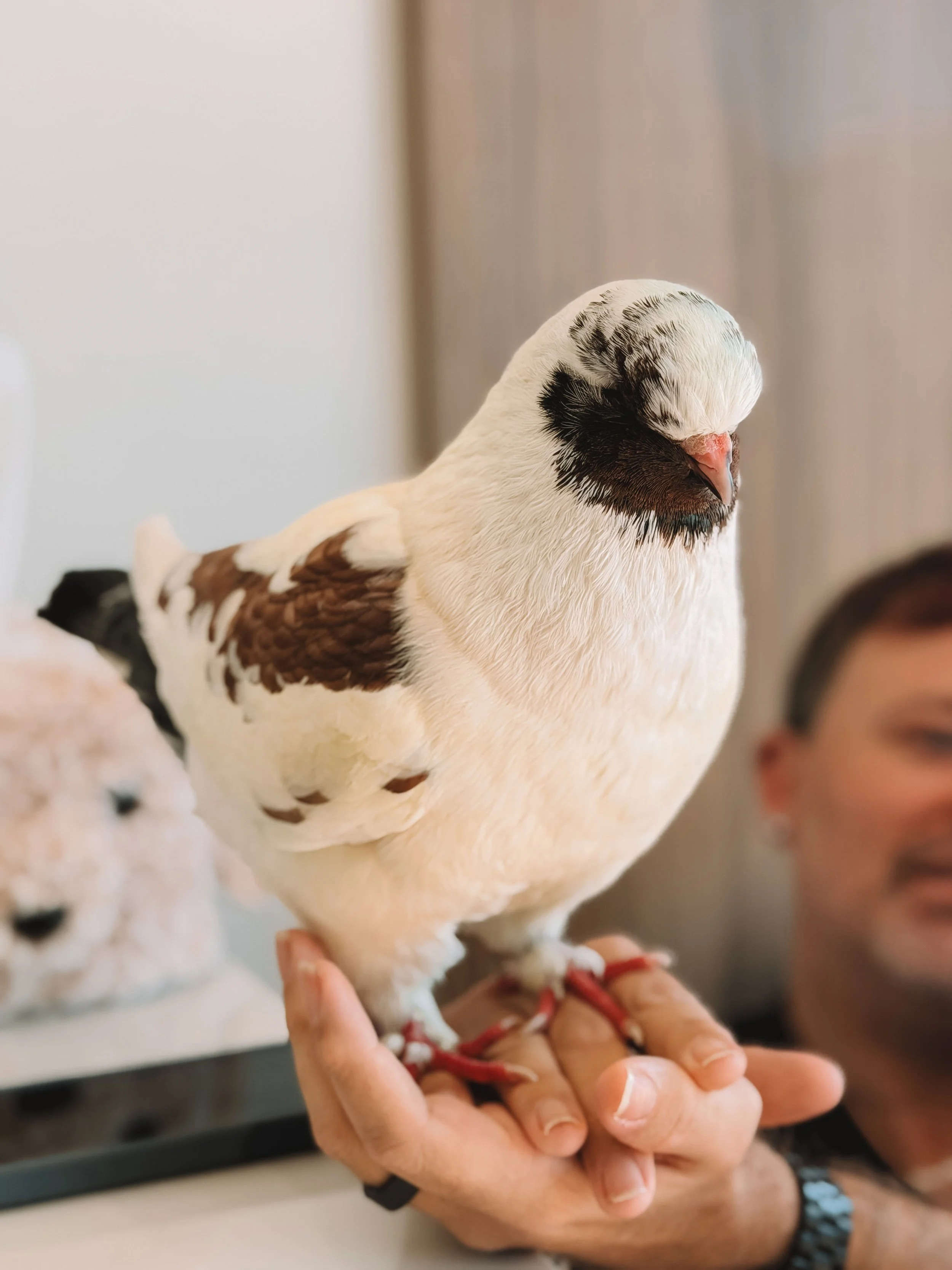 Loss of perching or balance