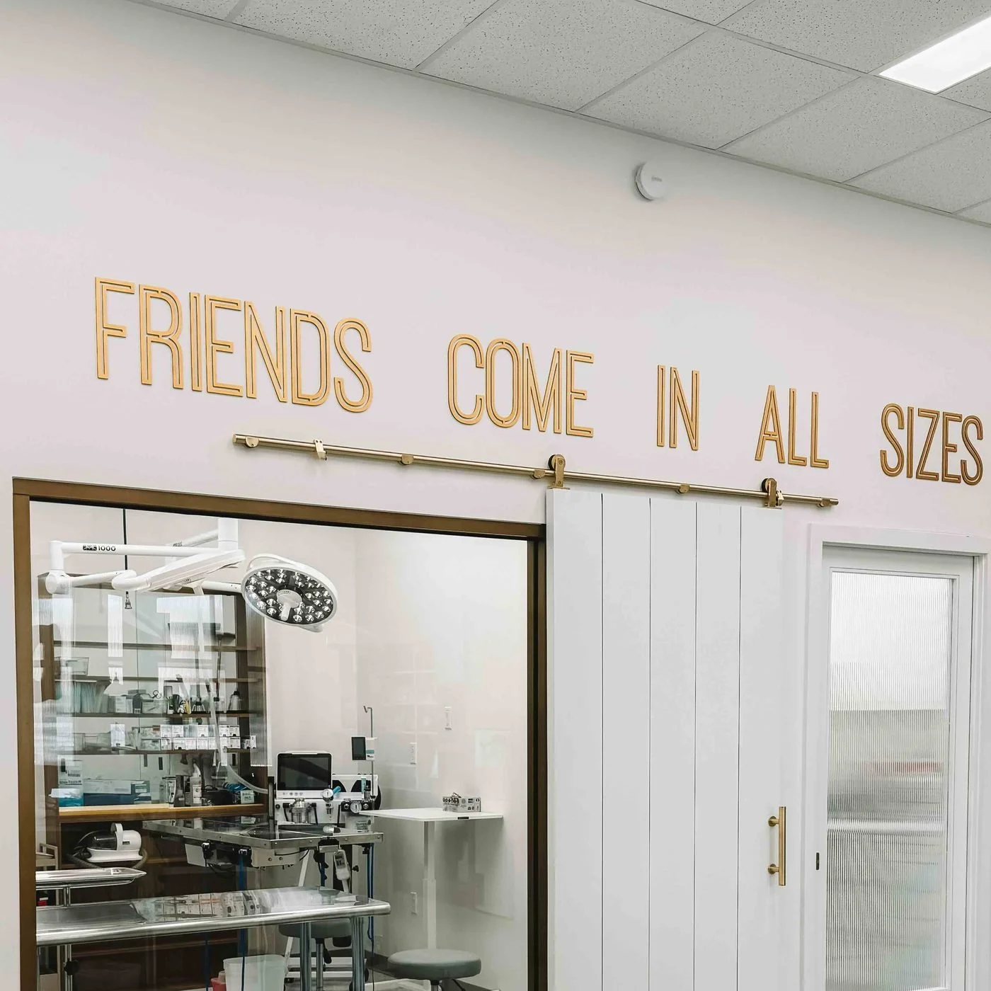 Open concept surgery suite at Fauna Vet Collective