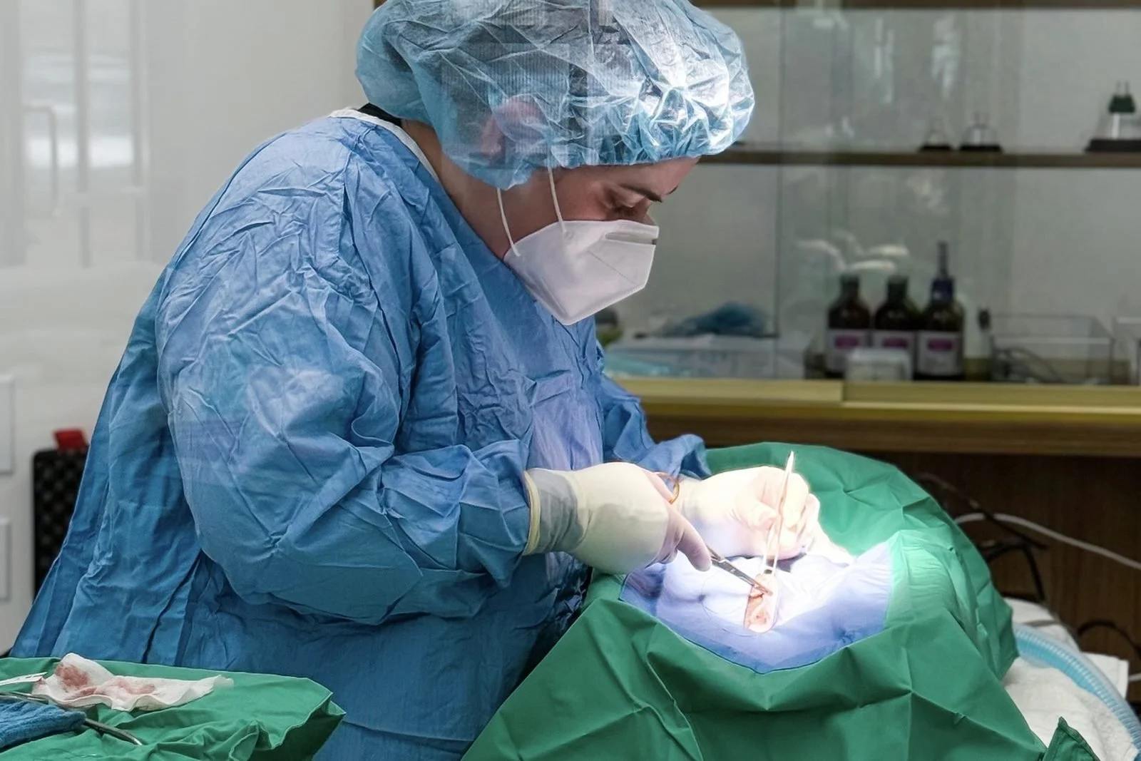 Fauna Vet Collective - Dr. Pokard in surgery