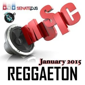 REGGAETON FOR THE NEW YEAR! | DJ Calyte [Latin] [2015]