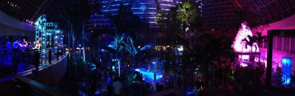 Senate DJ Family at Harrah's Pool