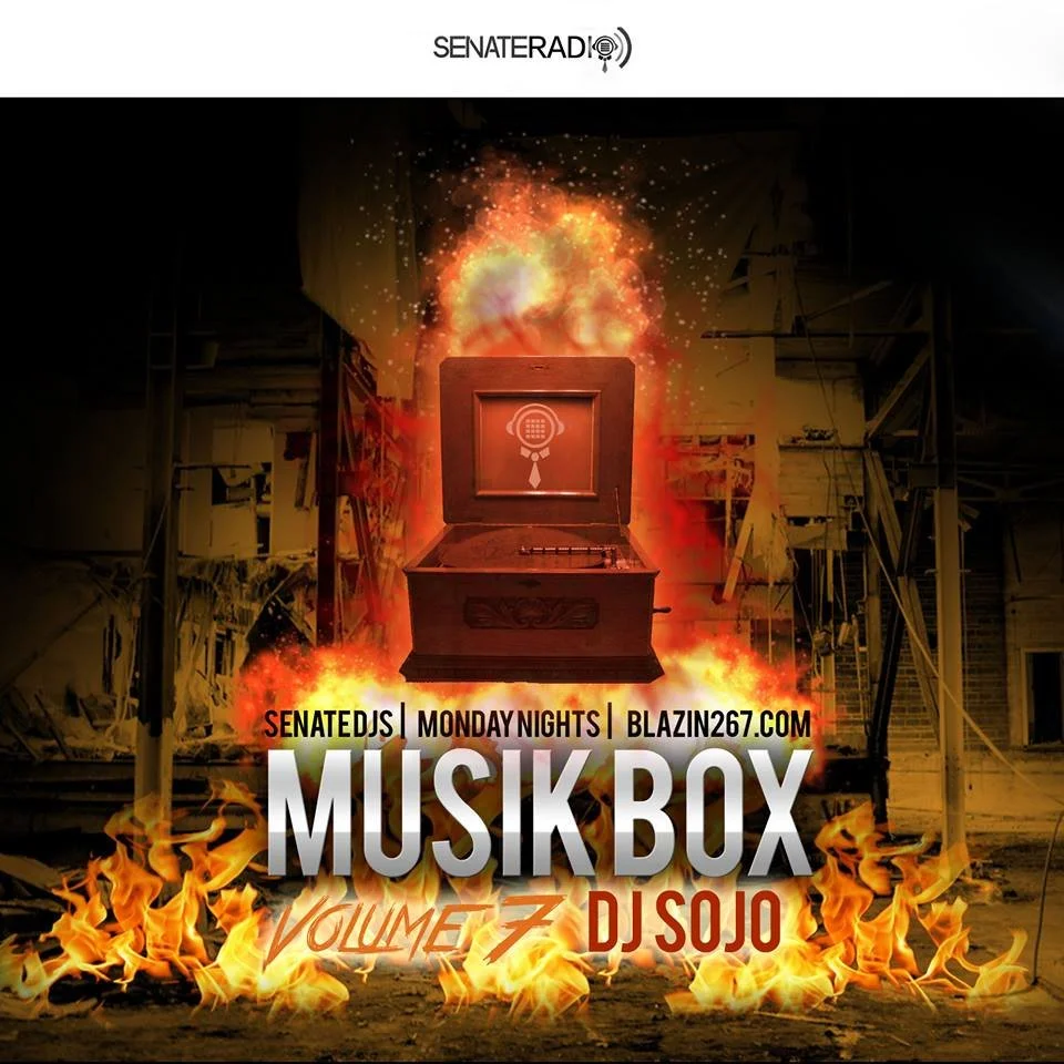 Senate DJs| Music Box - Volume 7 |DJ Sojo| Deep House, Tech House, Trap, Big Room, & More"