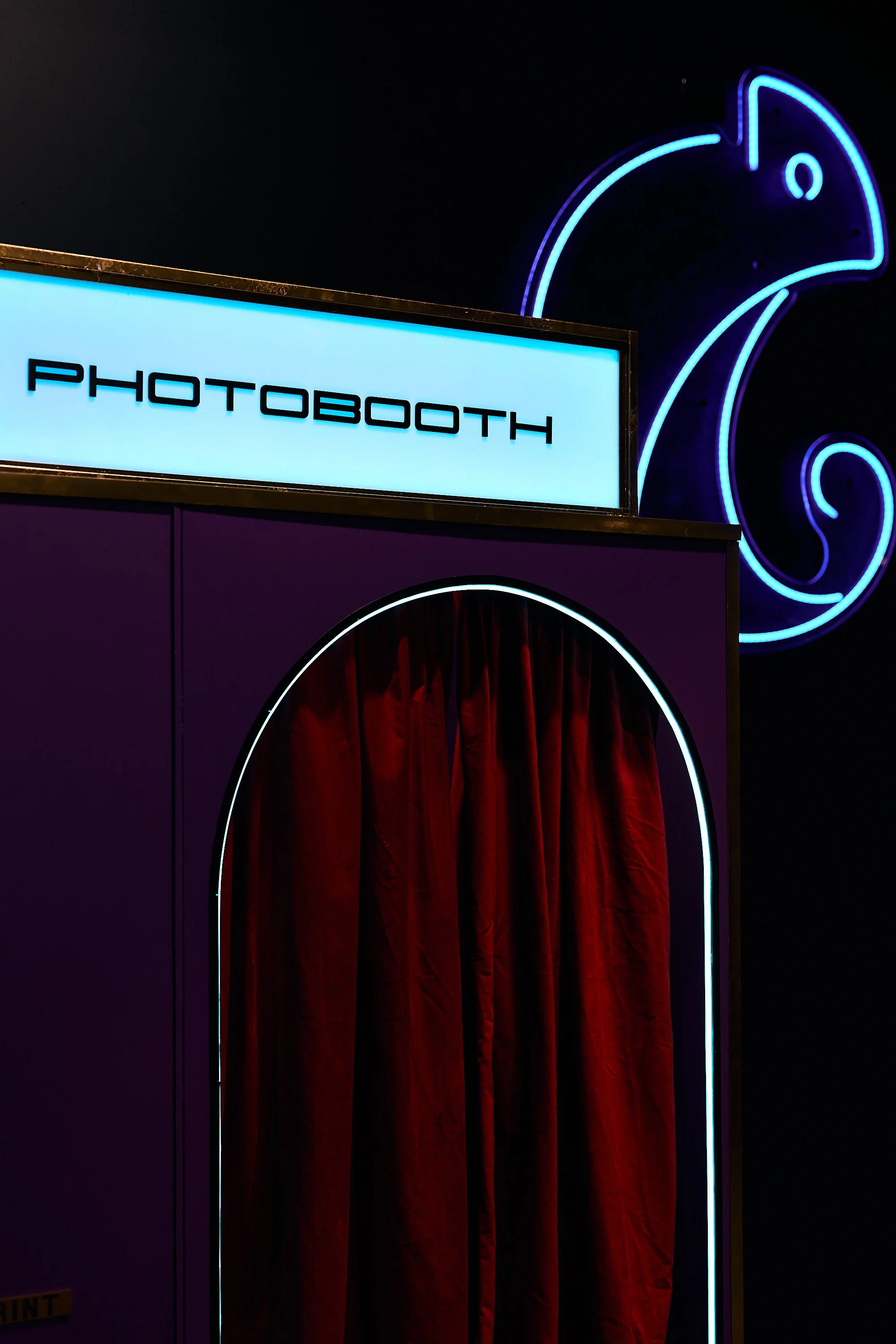 Enigma -JAN24-049.jpg