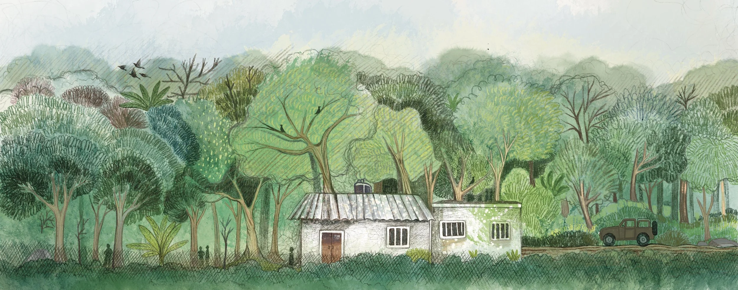 Forest_rehab_center_trees.jpg