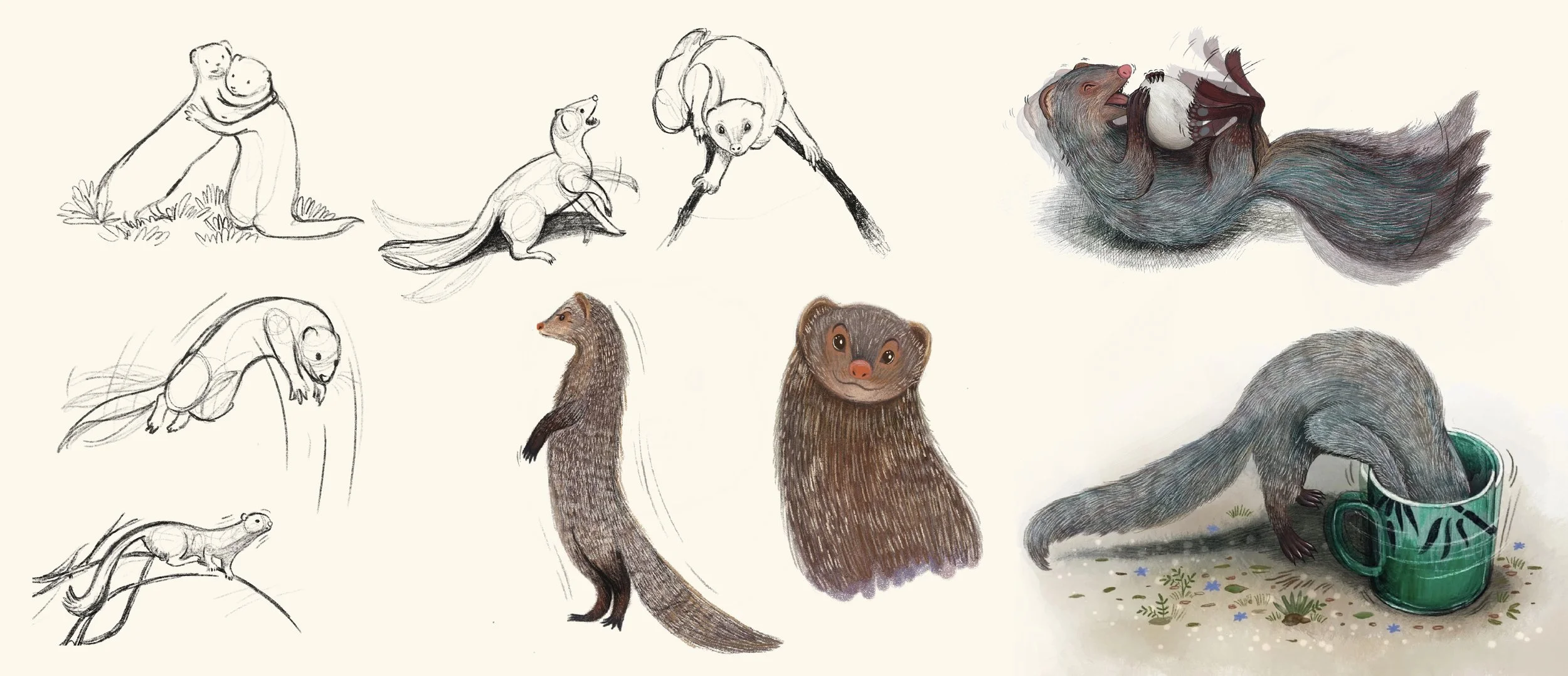 Mongoose_character_exploration_sketches_developement.JPG