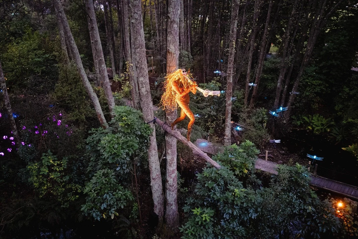 LUMA Enchanted lights up Queenstown again, this time in the middle of the forest at @kiwiparknz such a unique location! 

Thanks to the whole @lumaqueenstown crew for making this happen. It&rsquo;s not easy pulling something like this off, but you di