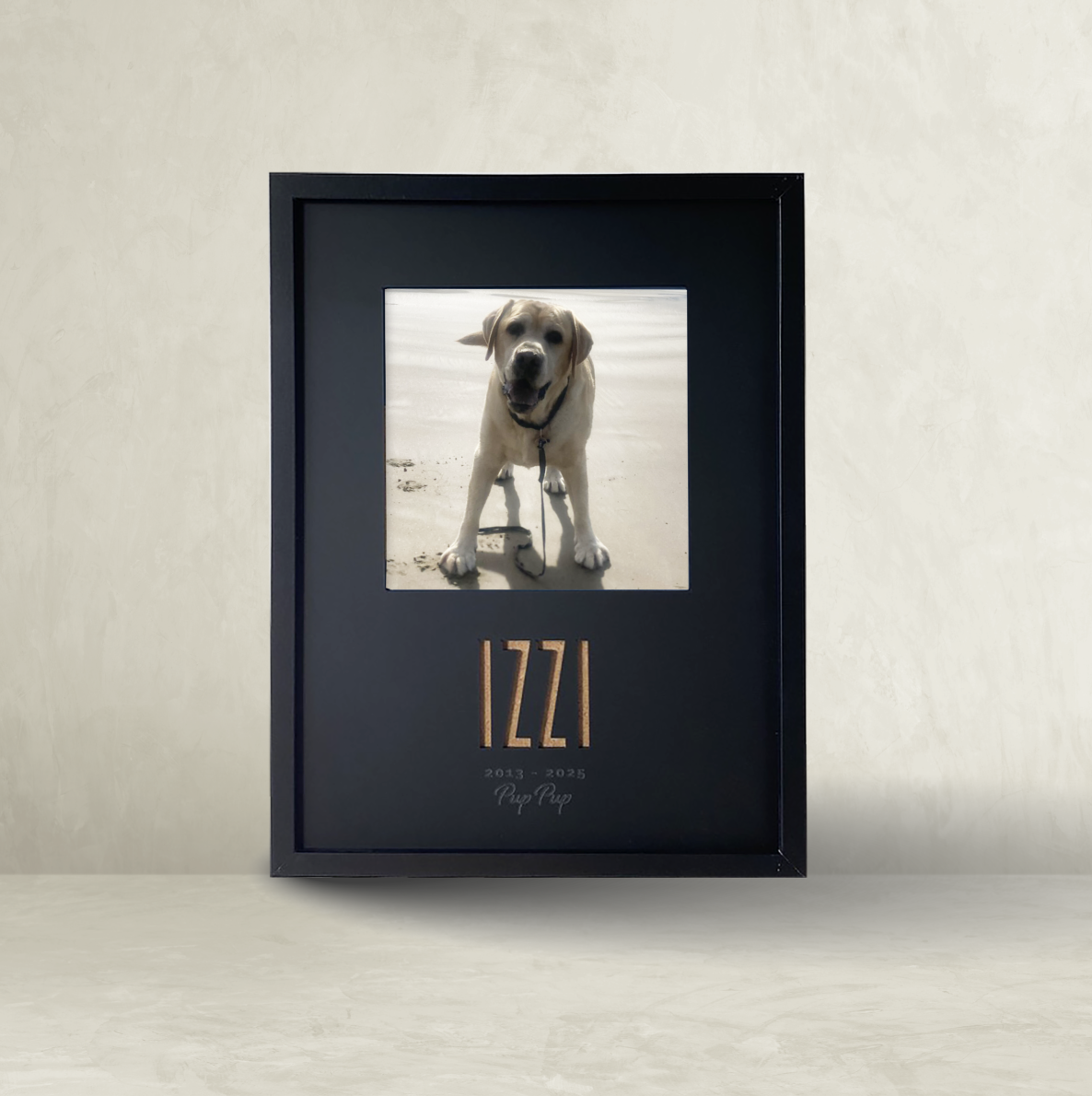 Screenshot 2026-02-18 at 11.51.22 AM.png