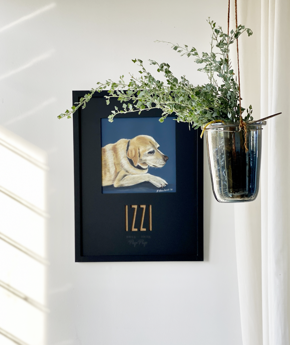 Screenshot 2026-02-18 at 11.45.35 AM.png