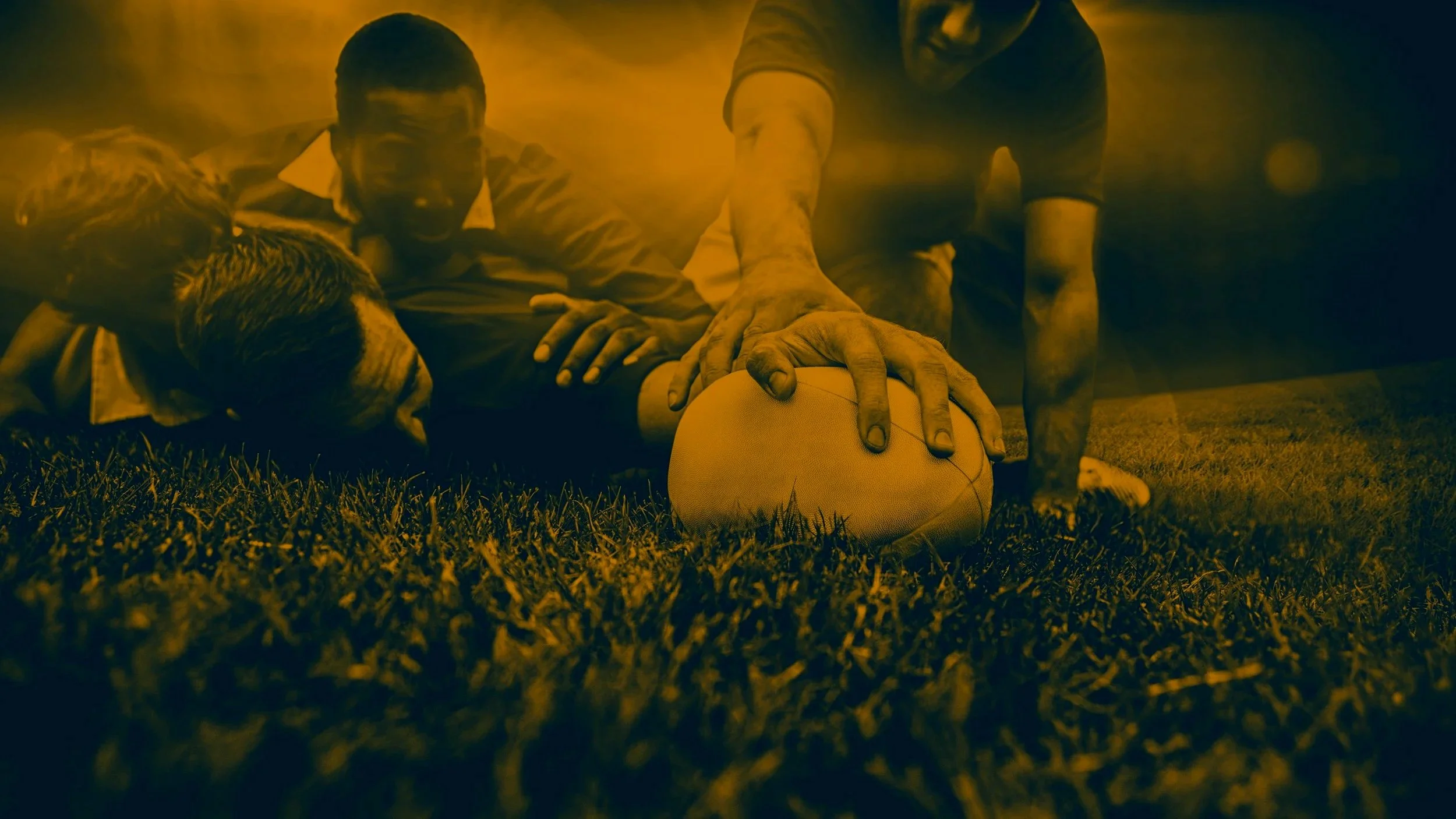 Back_duotone13.jpg