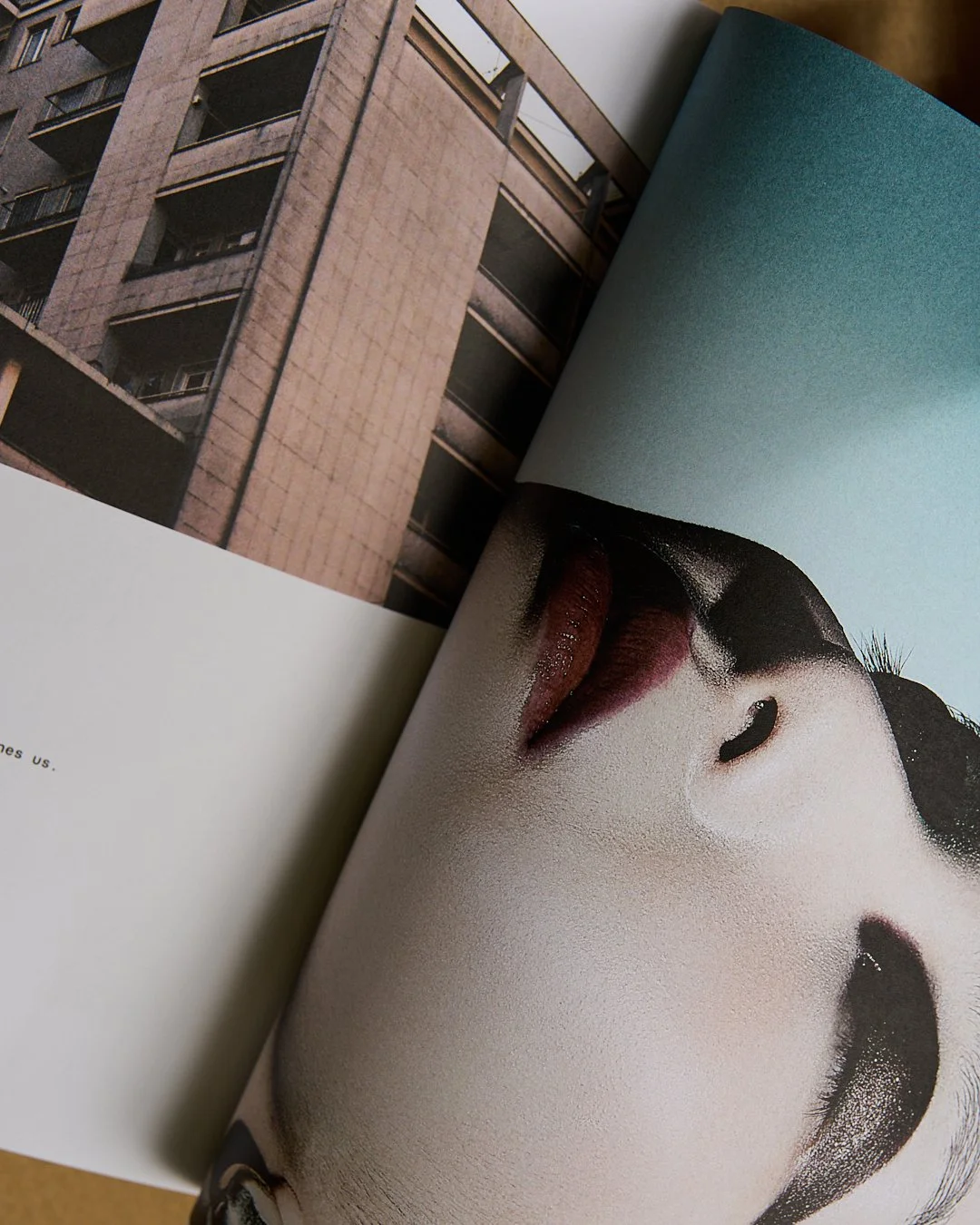 STILL BOOK TVN 0040082.jpg