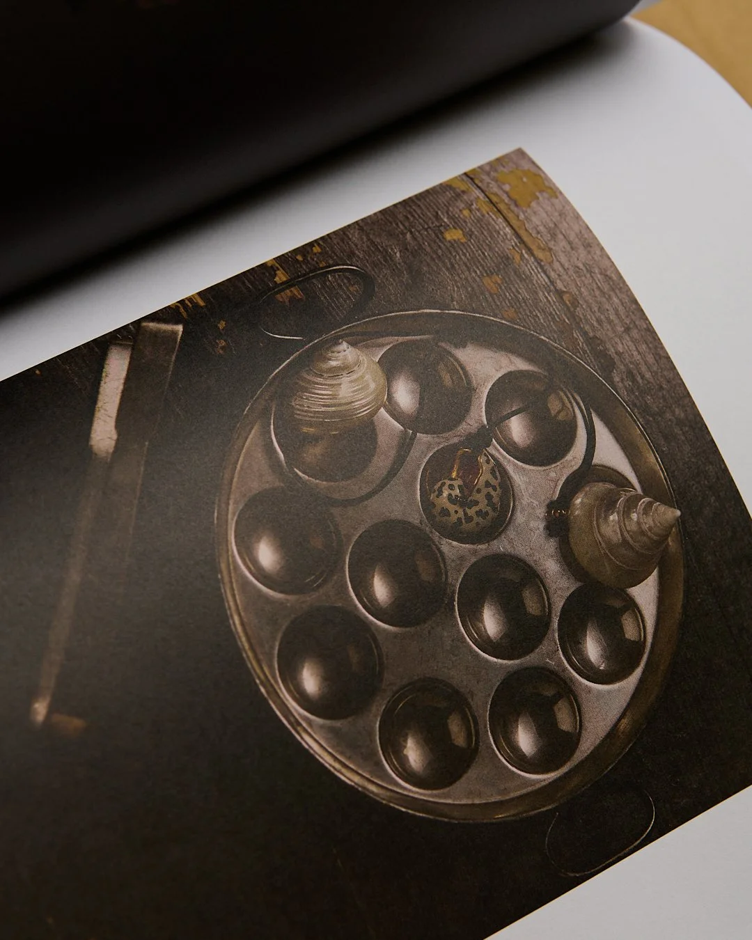 STILL BOOK TVN 0040053.jpg