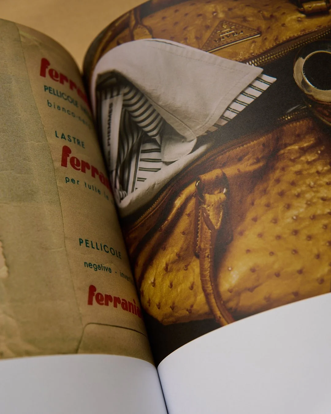 STILL BOOK TVN 0040063.jpg