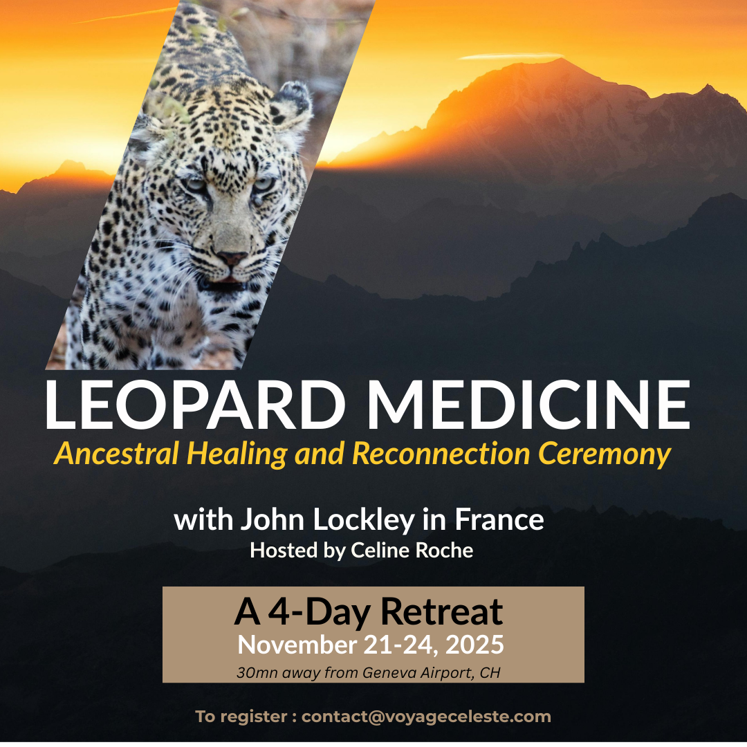 Instagram Leopard Medicine.png