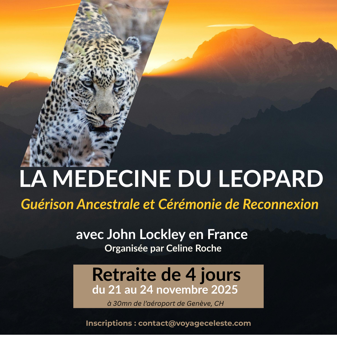 La Médecine du Leopard ENG.png