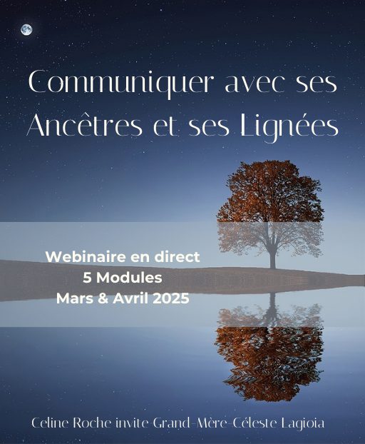 512 x 622 Wesbite .png