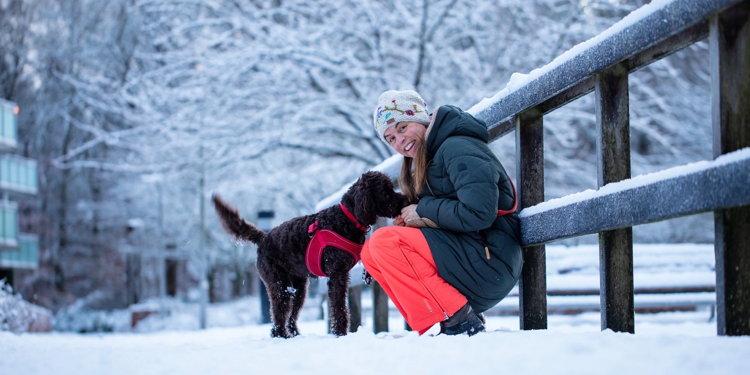 Hoe een grote wens in vervulling ging en Noah in ons leven kwam..