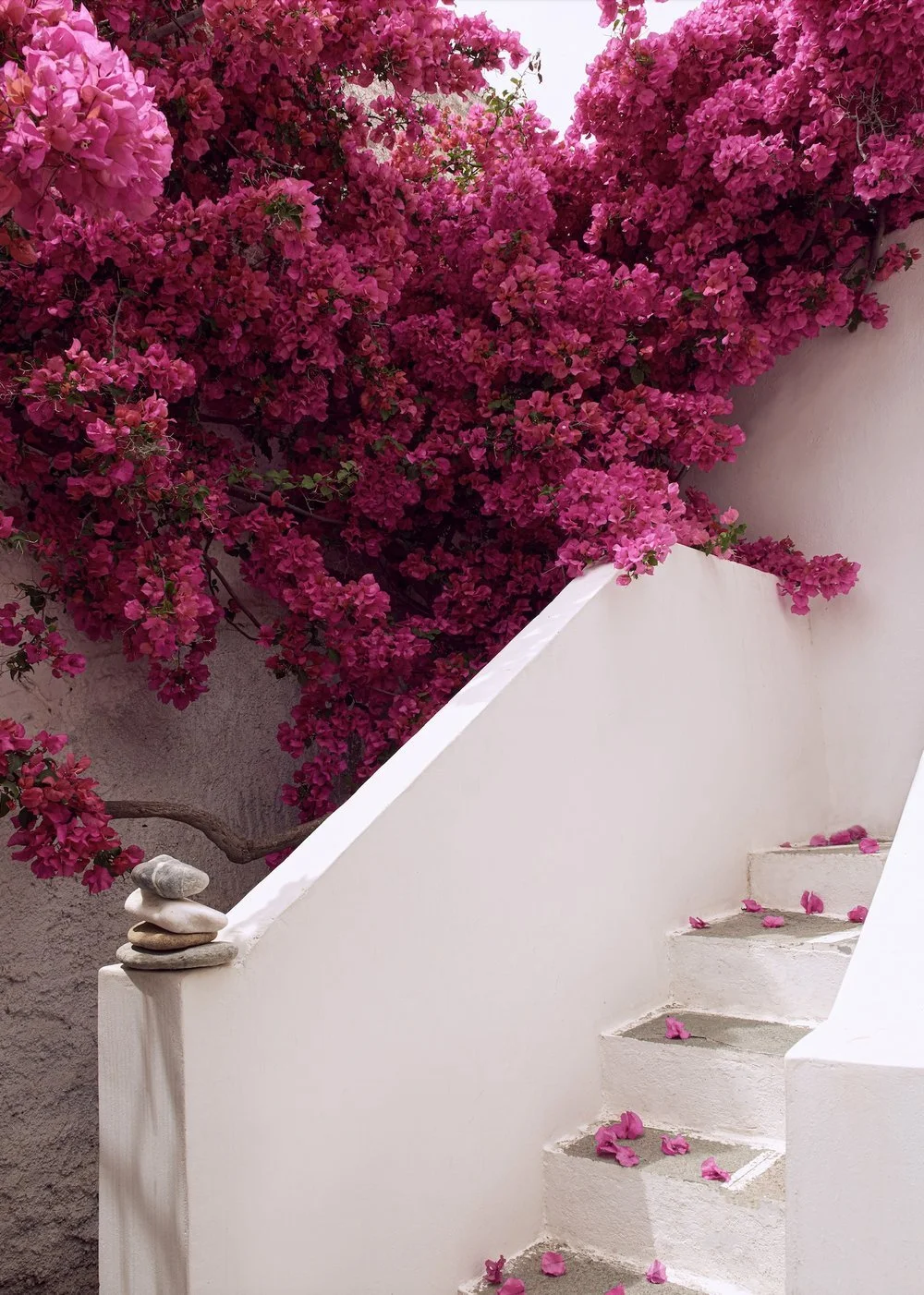 Serifos courtyard renovation by Howark Design, featuring original white walls, a lemon tree, and built-in seating with red cushions.