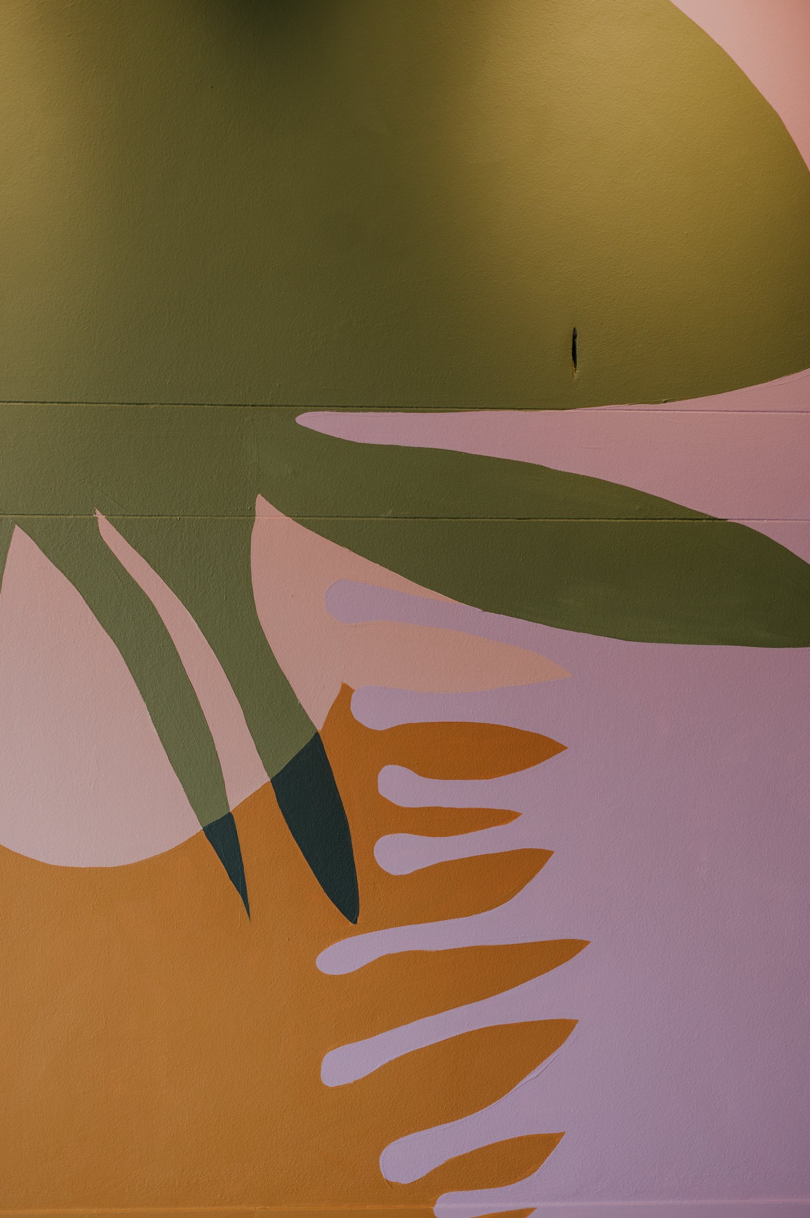 Cammeray mural NGladushchenko009.jpg