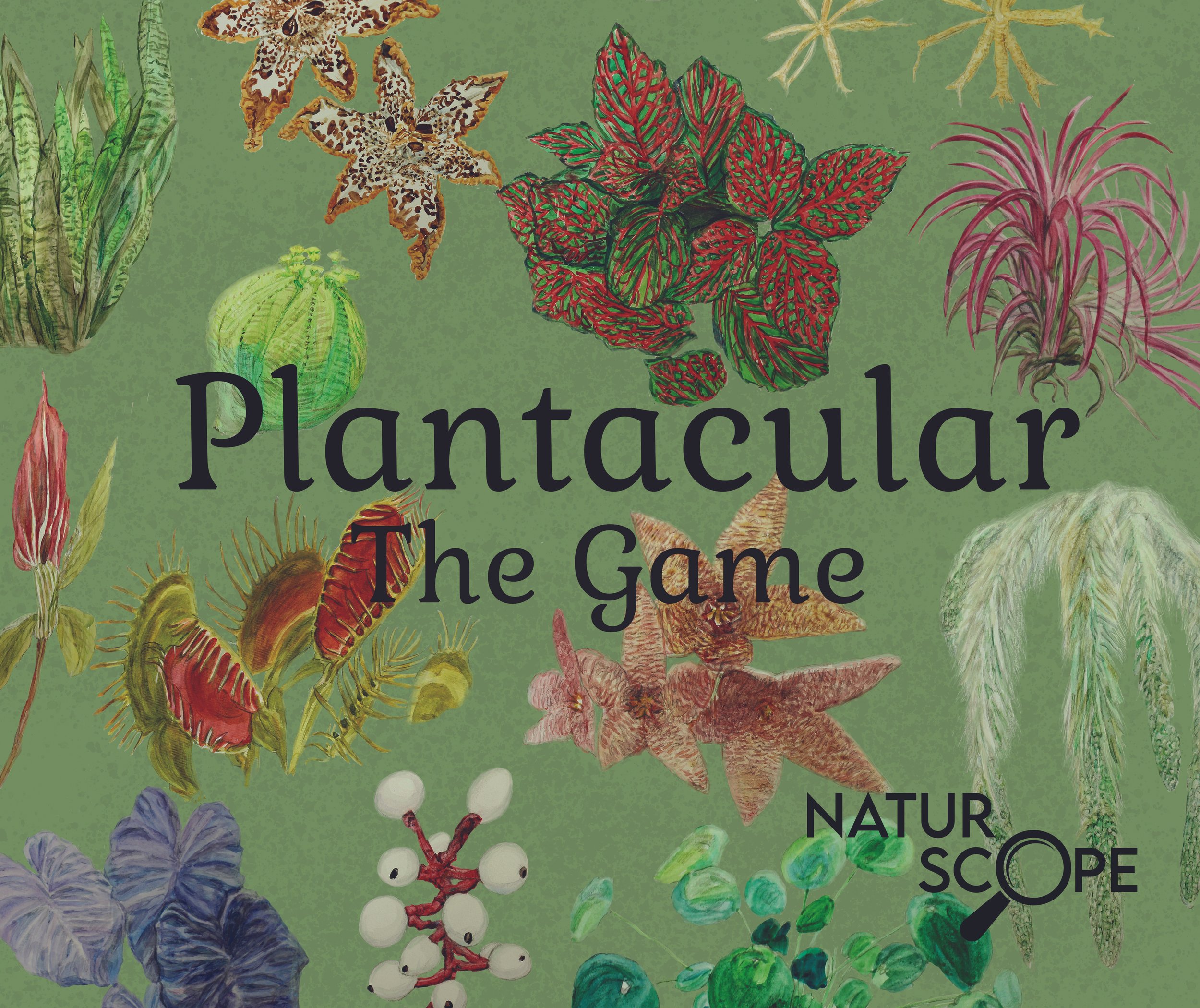 coverplantacular222 copy.jpeg