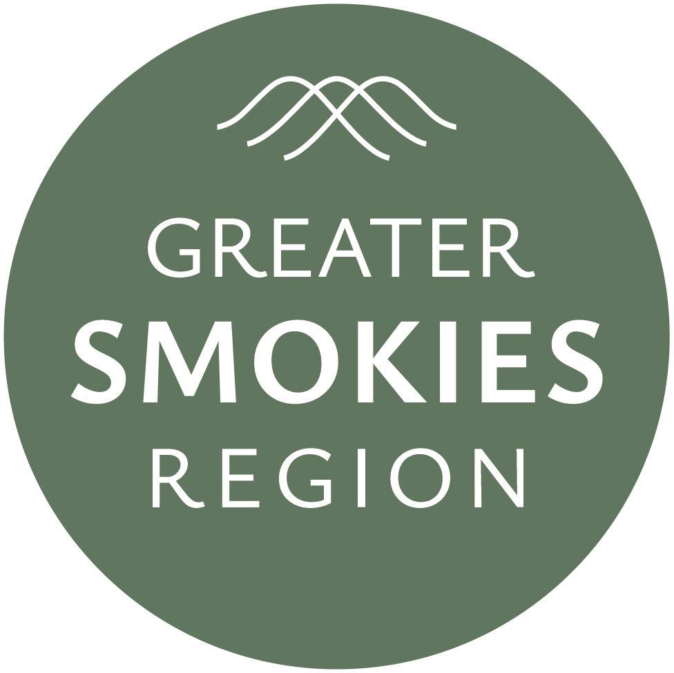 GSR_social-icon_tourism (1).png