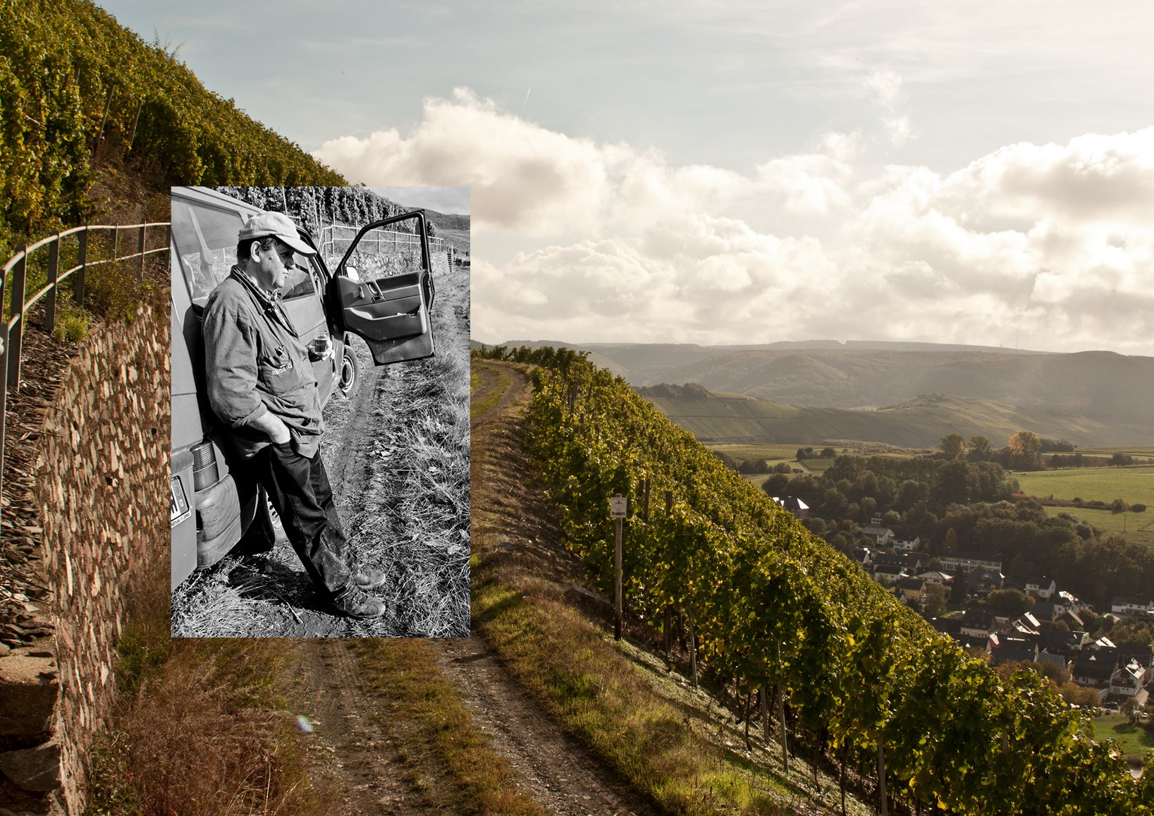 250415-studio-hansen-Repro-Weingut-Fehres-Bild.jpg