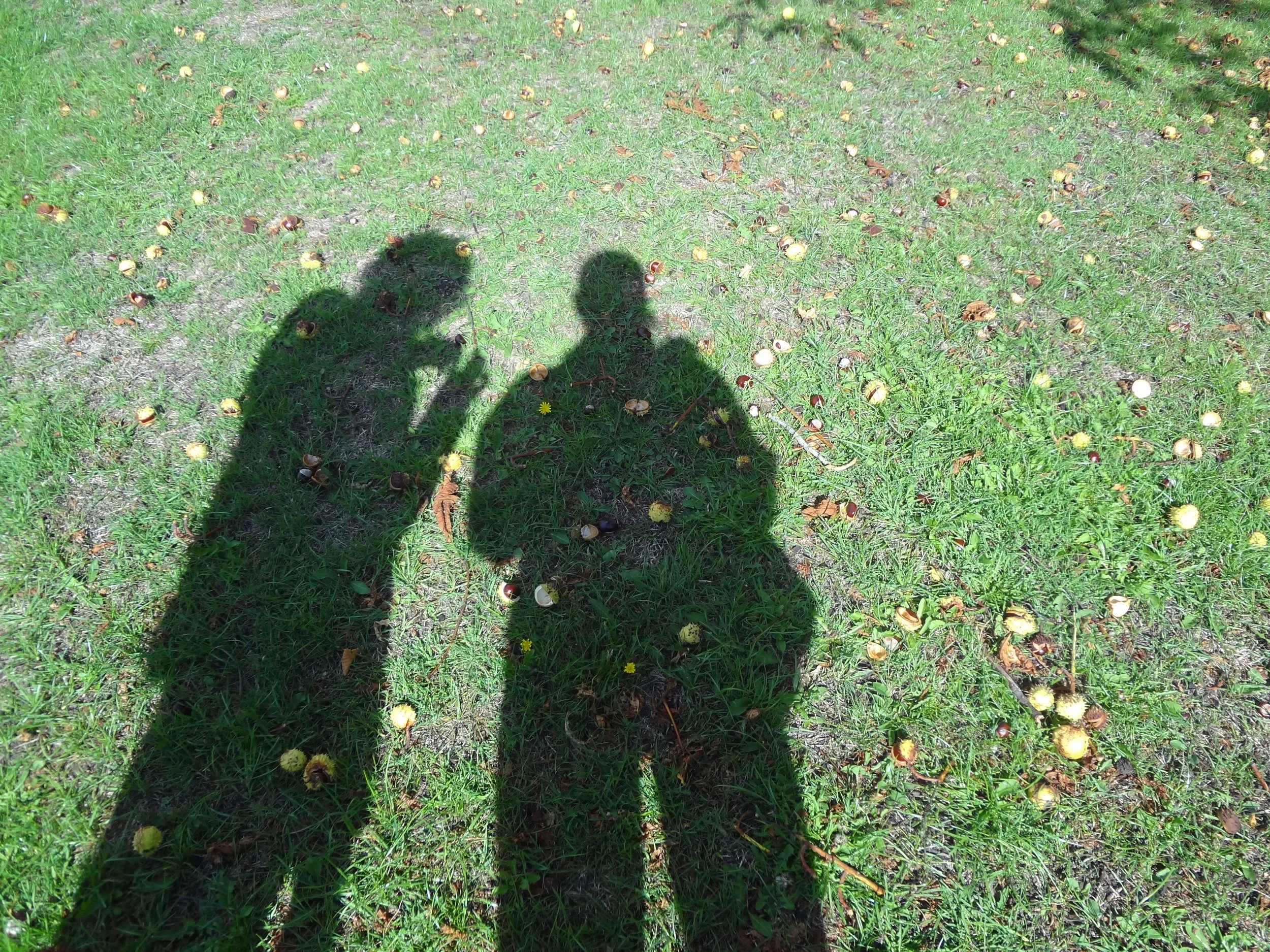 DSC06805.JPG