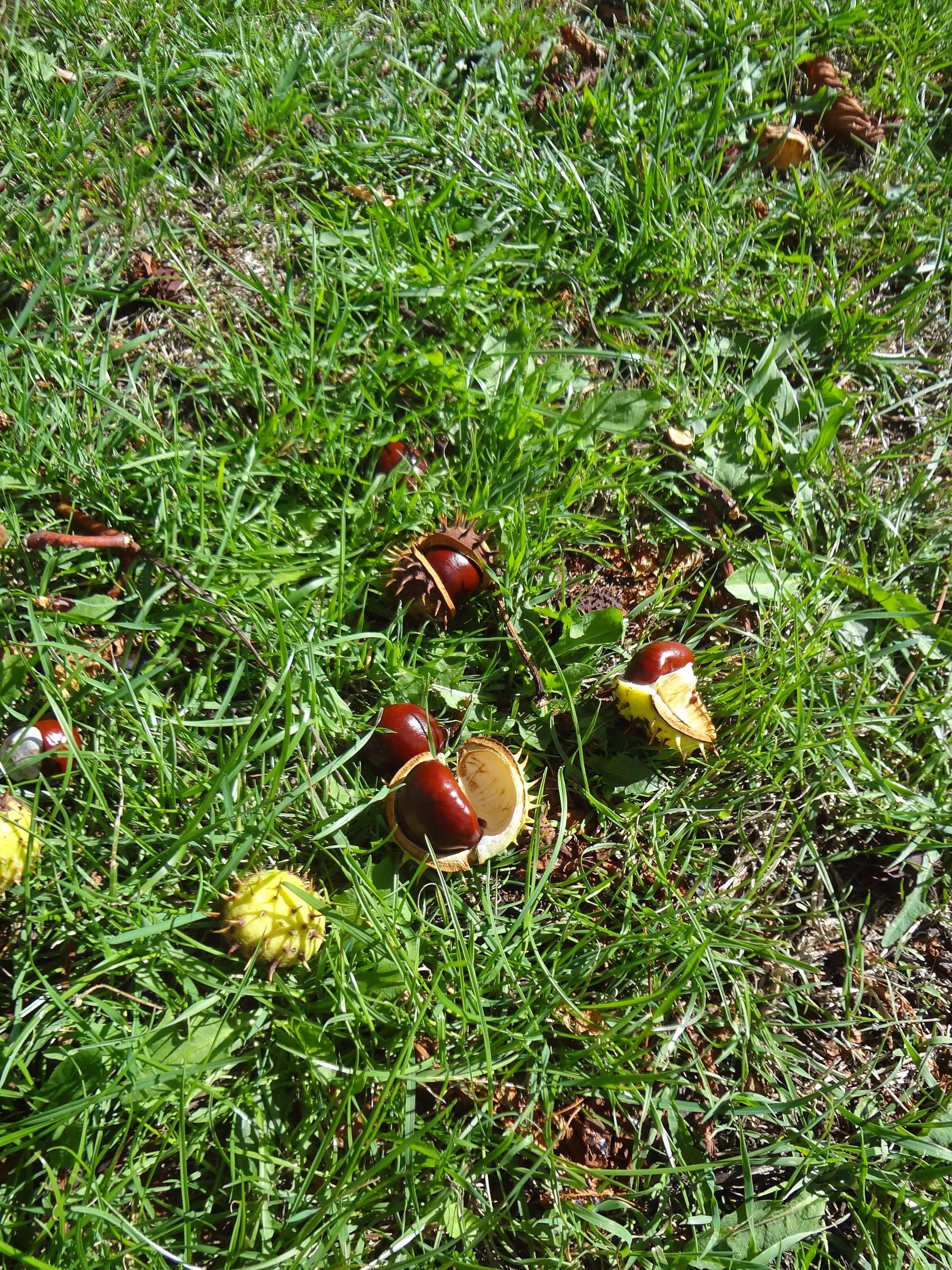 DSC06808.JPG