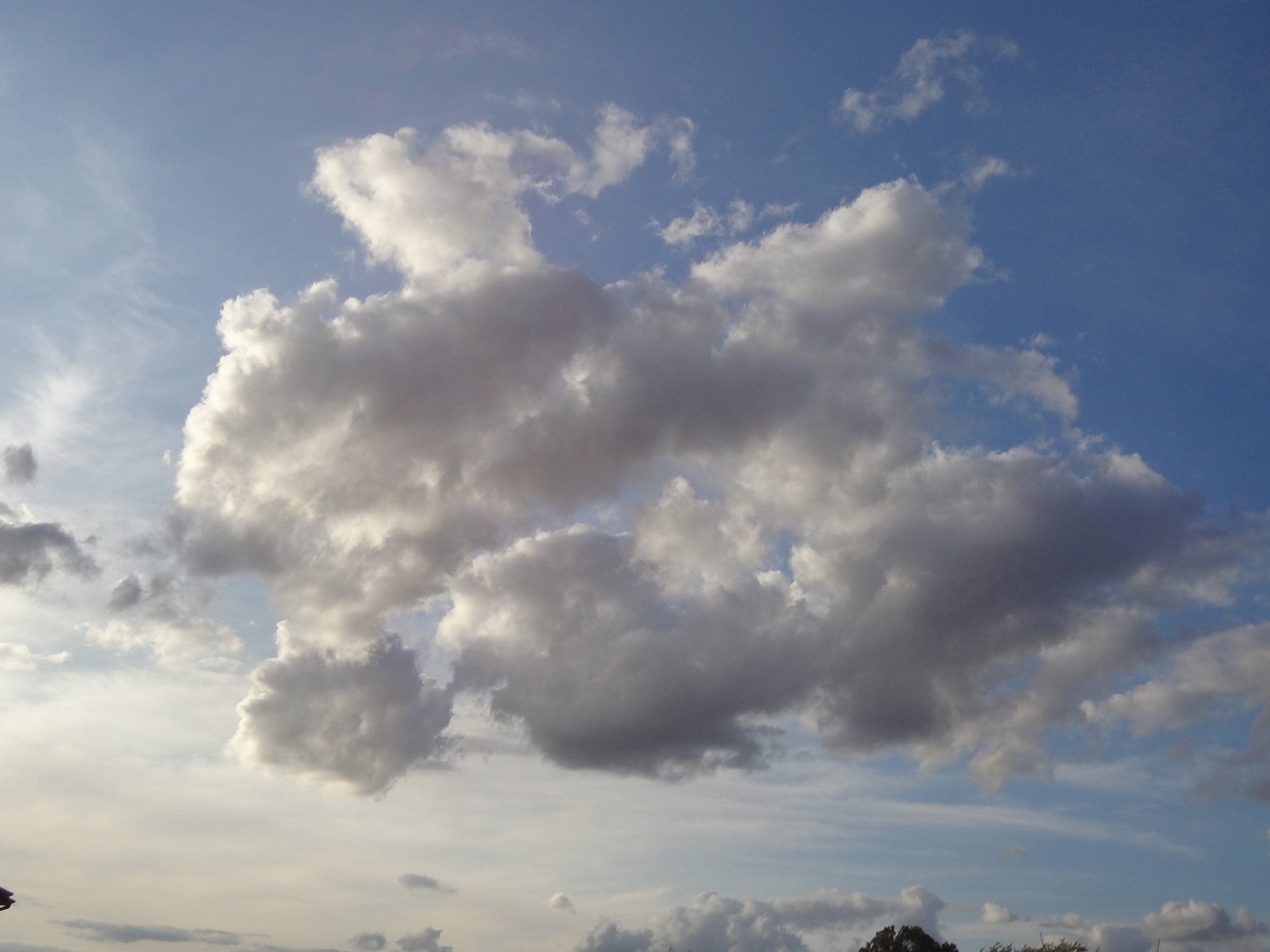 DSC06771.JPG