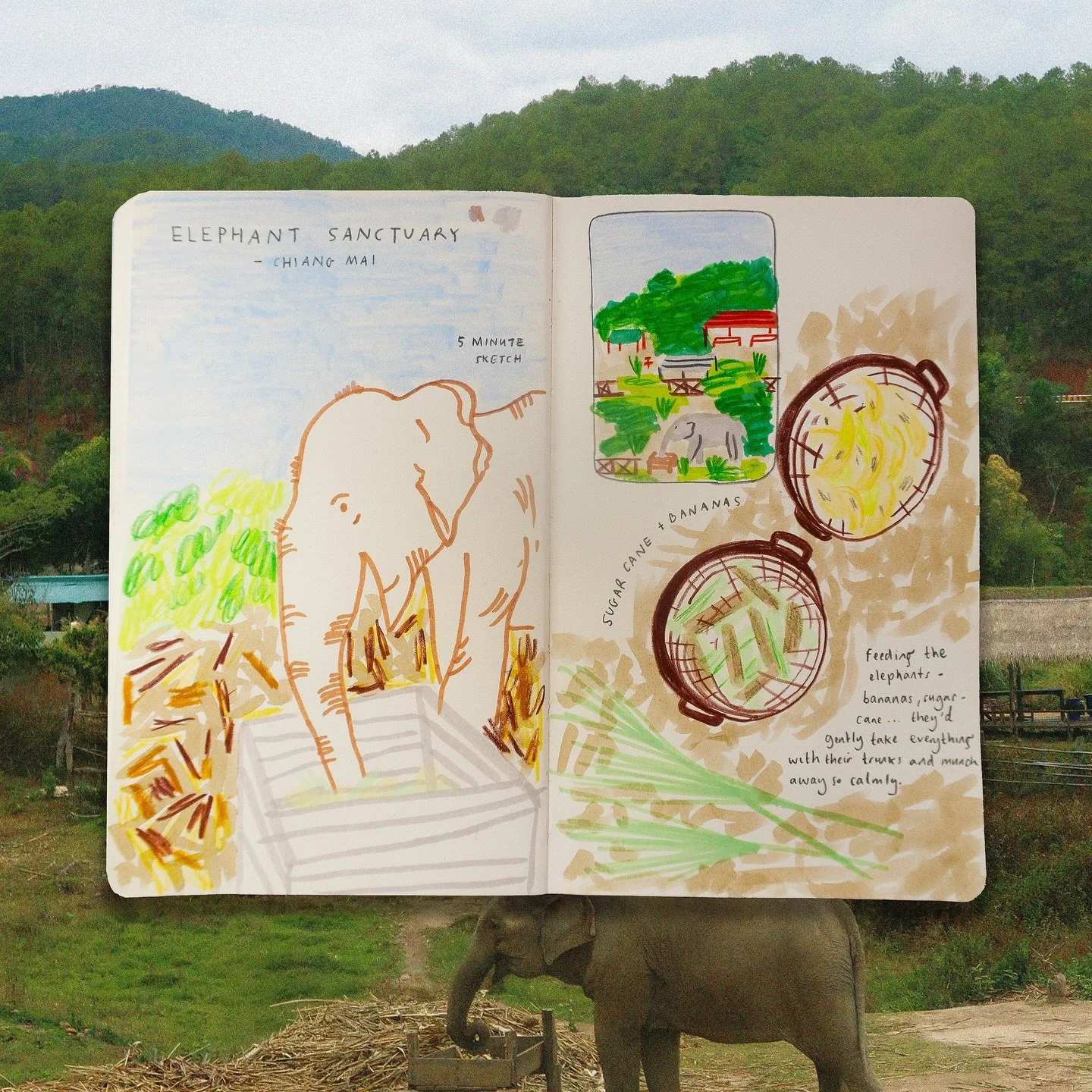 ✏️🐘🍜🥭
Thailand, through my sketchbook 🛶☀️
~ Which materials would you reach for to capture a trip like this?

Loved bringing these moments to life using @carandache Neocolor crayons, Luminance pencils + @winsorandnewton ProMarkers ~ the textures 