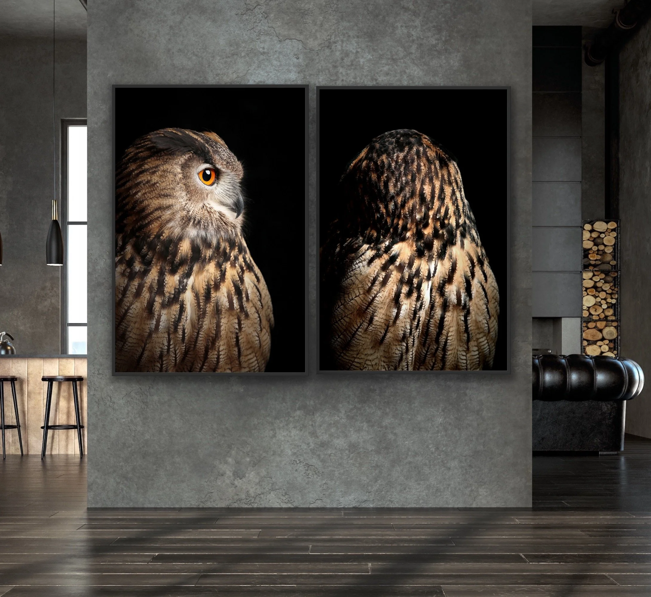 Eagle Owl (i) &amp; (ii) finished in a custom black float frame © Dan Callister
