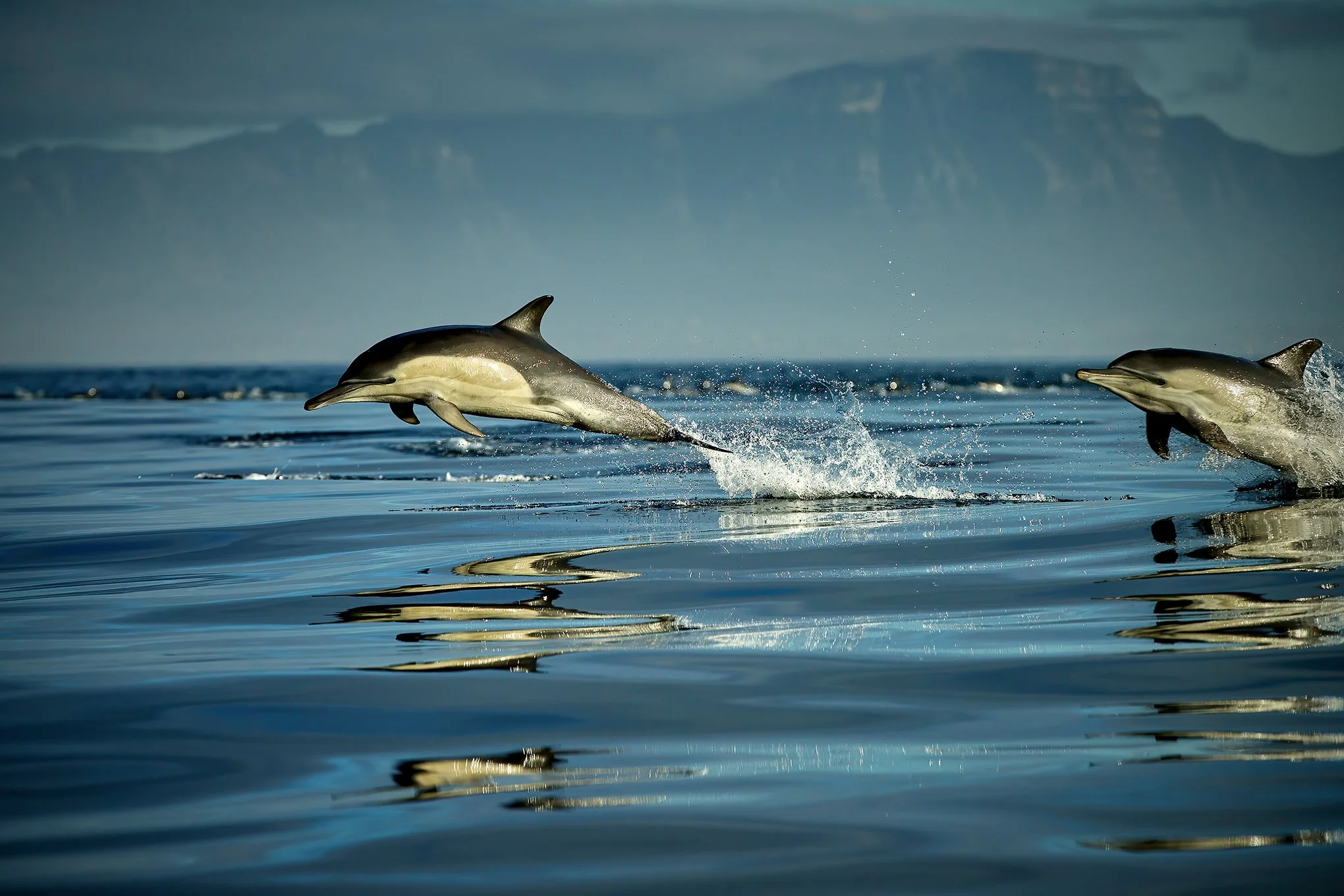 ‘Calm Waters’