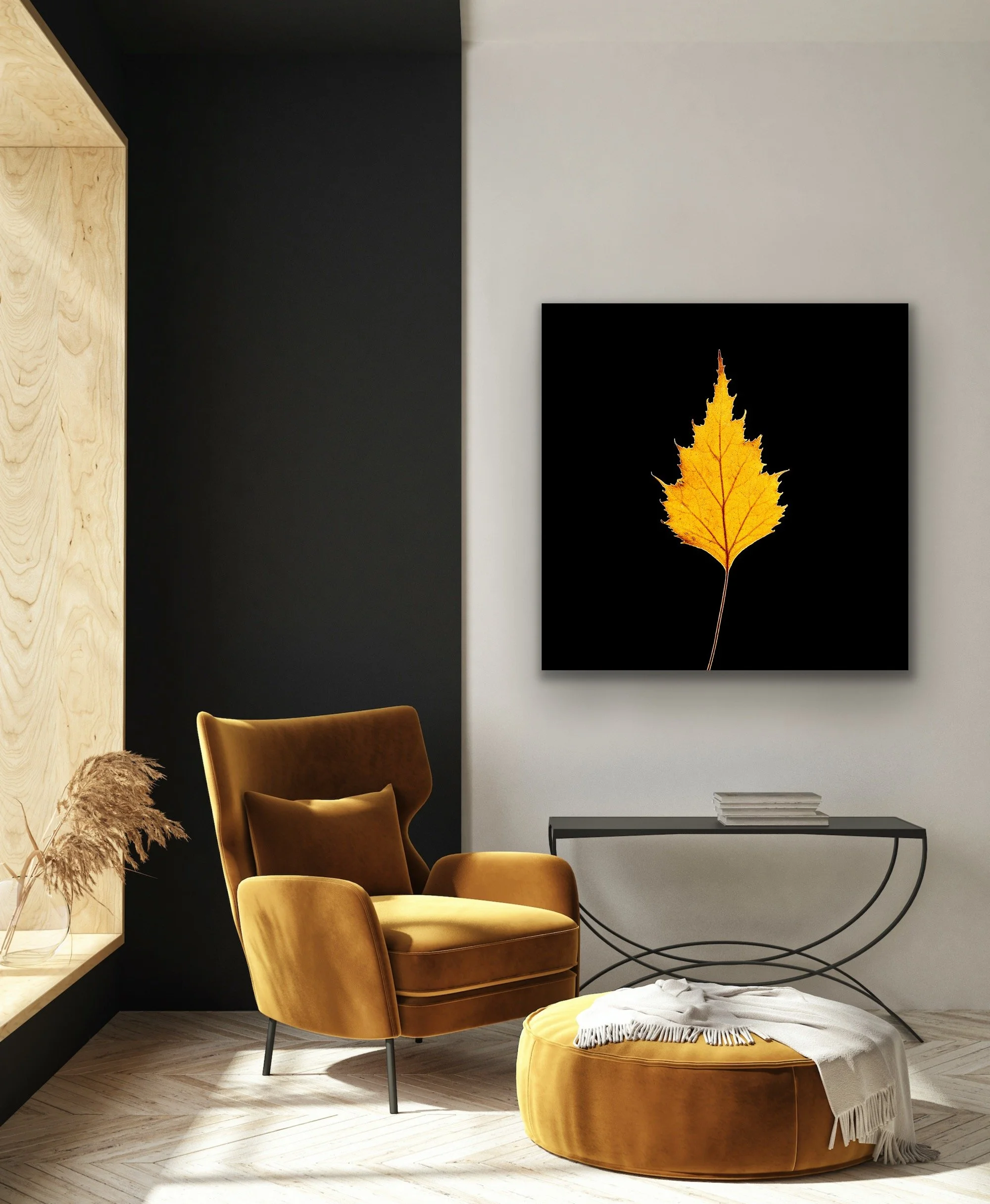 'Flame' finished in a custom float frame by © Dan Callister