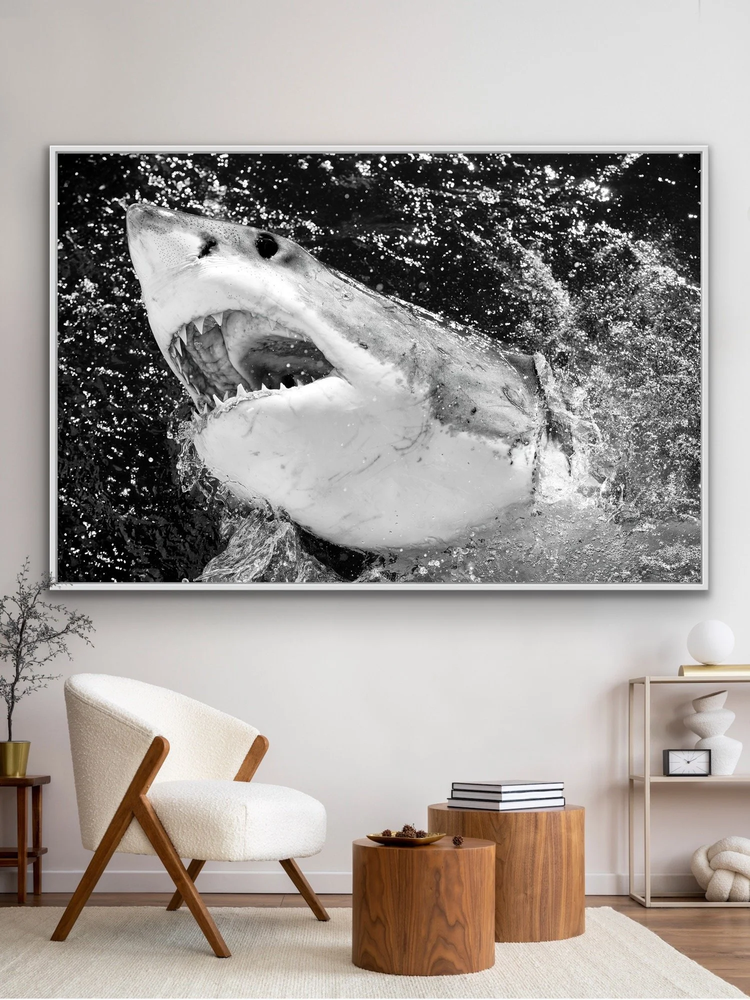 Scrappy finished in a custom white float frame © Dan Callister