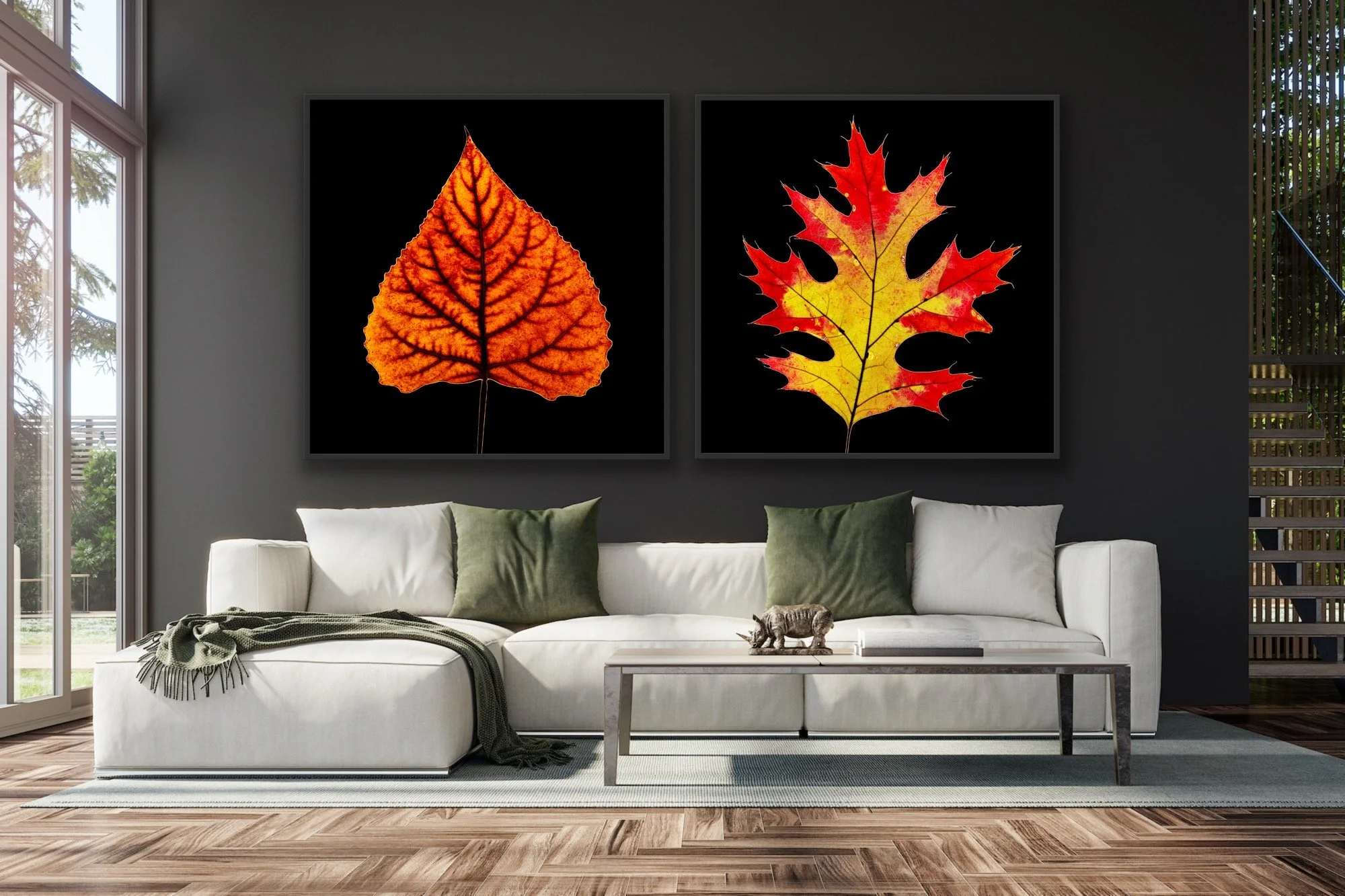 Amber &amp; Oak by © Dan Callister/Penguins &amp; Sharks