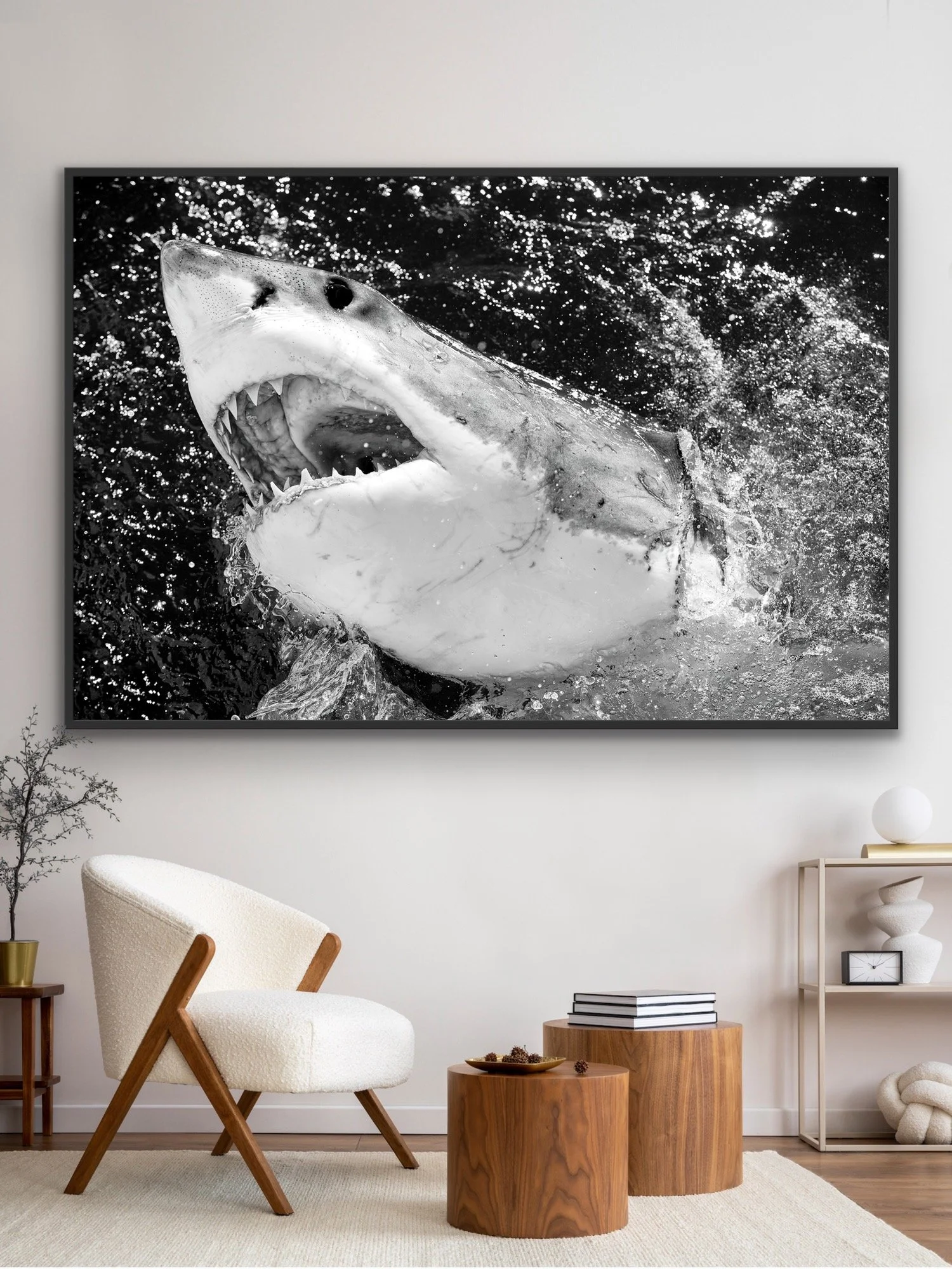 Scrappy finished in a custom black float frame © Dan Callister