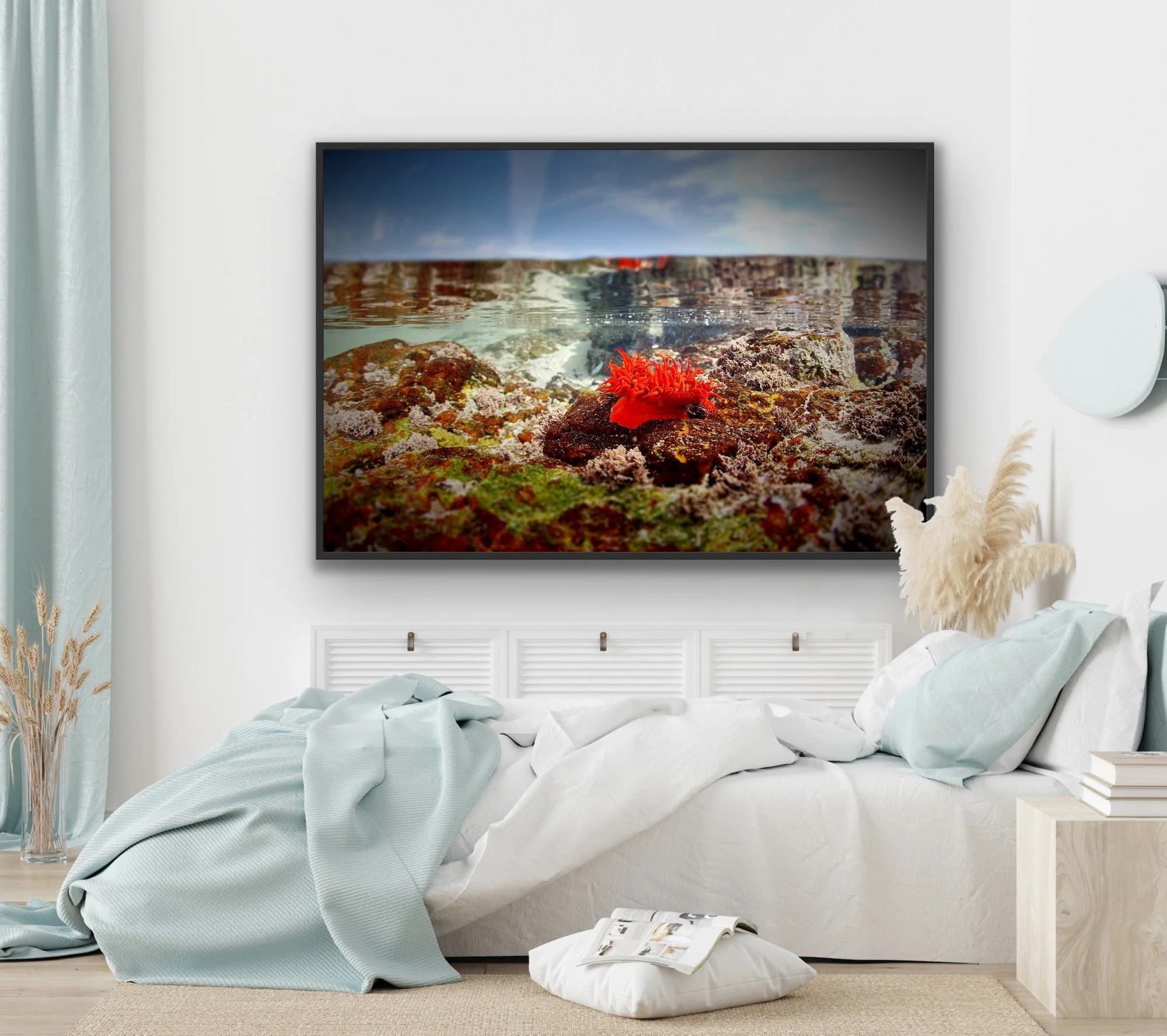 'Anemone' finished in a custom black float frame © by Dan Callister