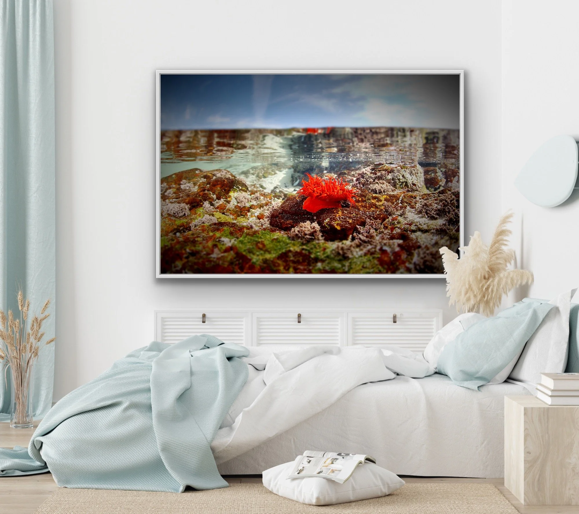 'Anemone' finished in a custom white float frame © by Dan Callister