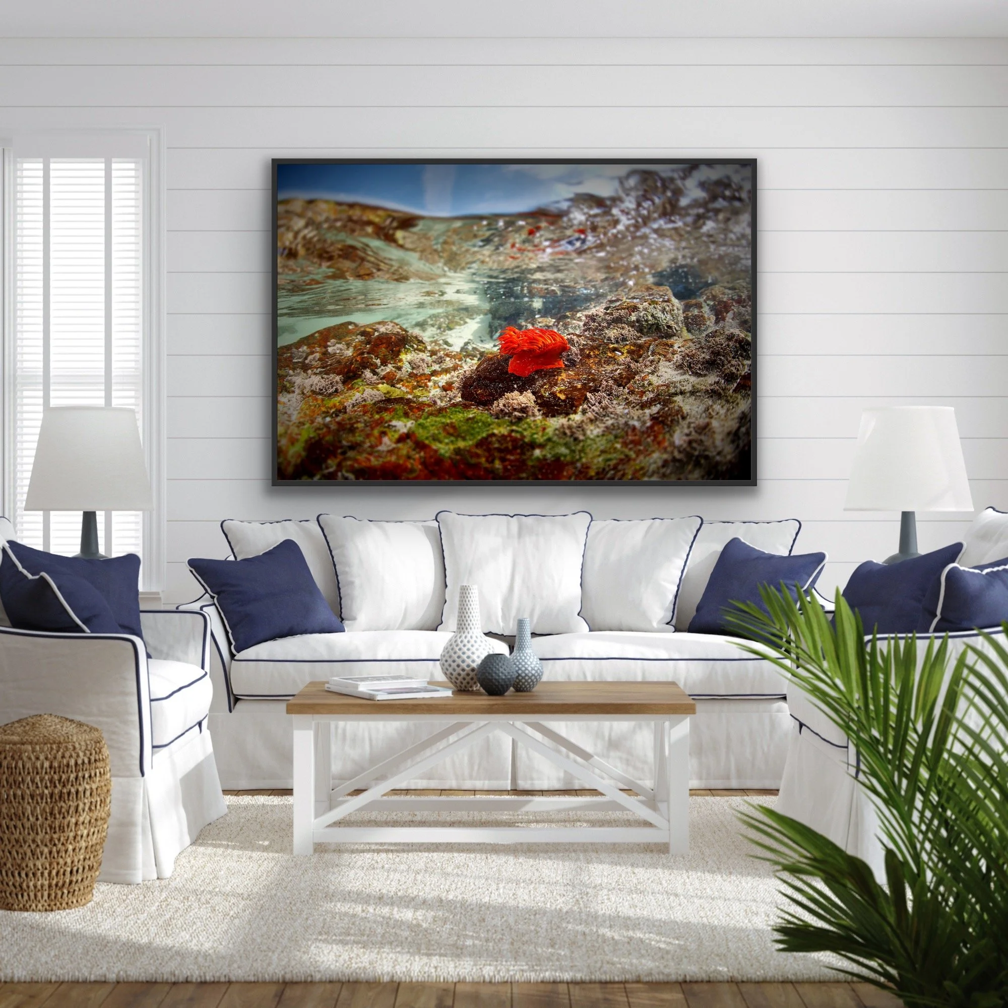 'Medusa' finished in a custom black float frame © by Dan Callister