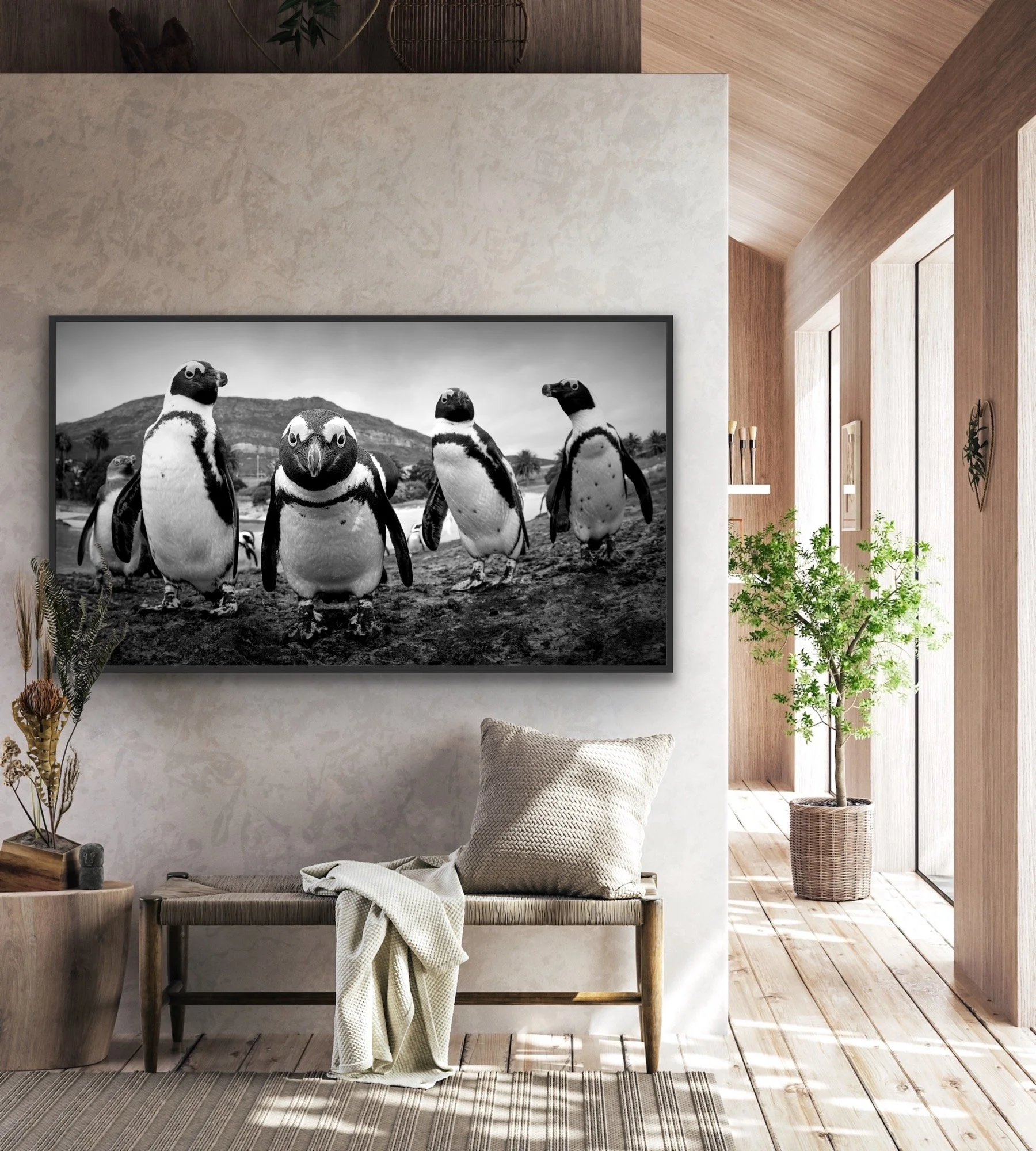 The Boys Are Back In Town' © Dan Callister/Penguins &amp; Sharks